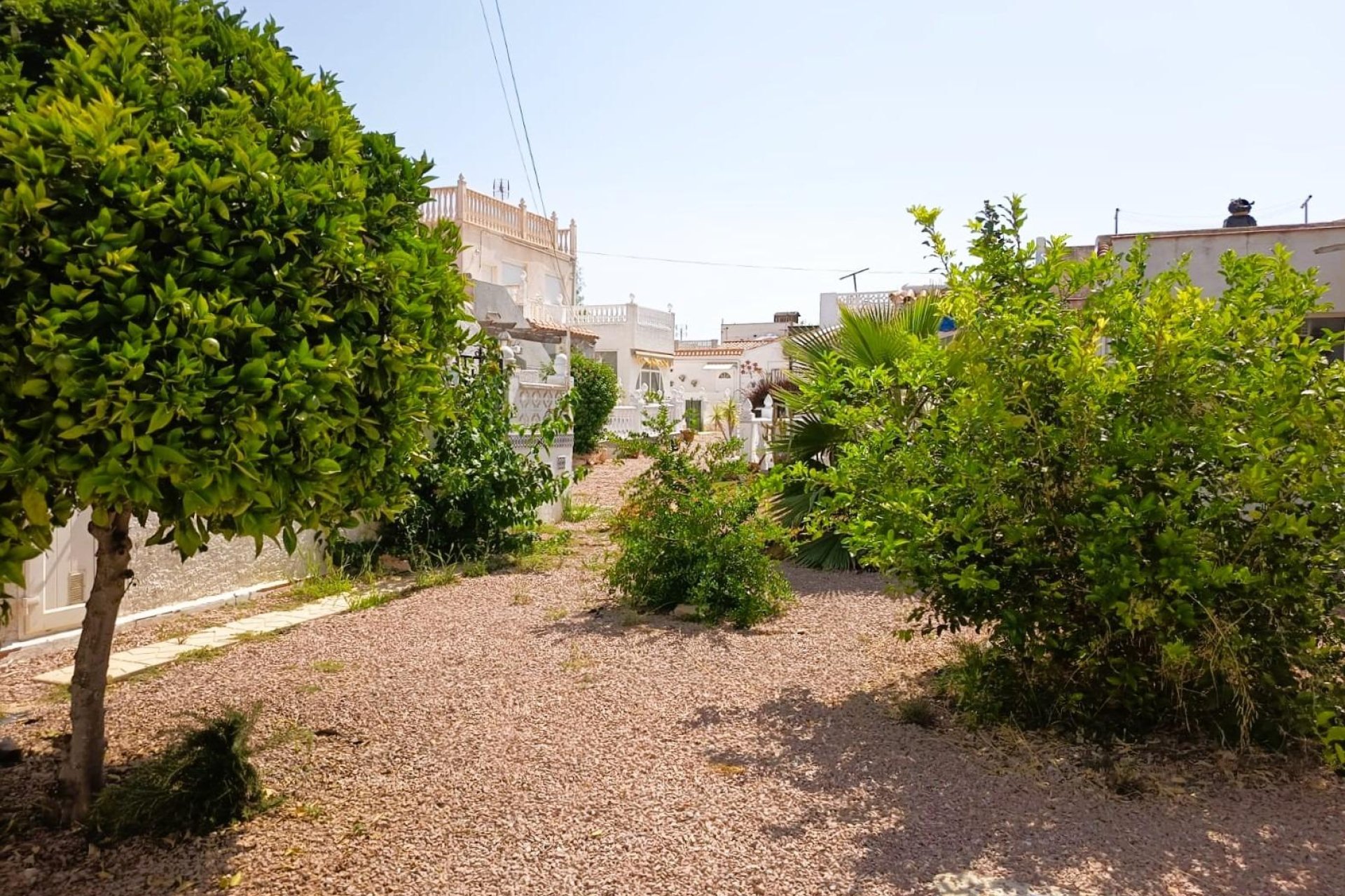 Használt Ingatlanok - Bungaló -
Torrevieja - Costa Blanca