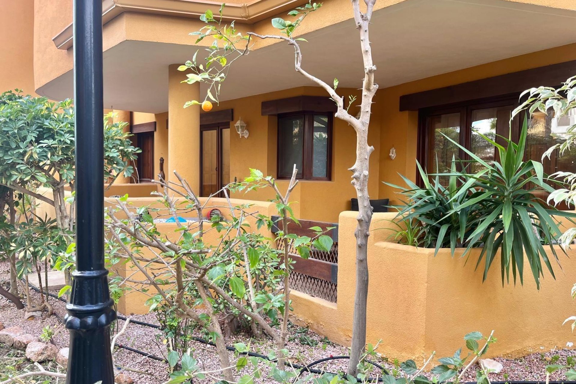 Használt Ingatlanok - Bungaló -
Torrevieja - Punta Prima