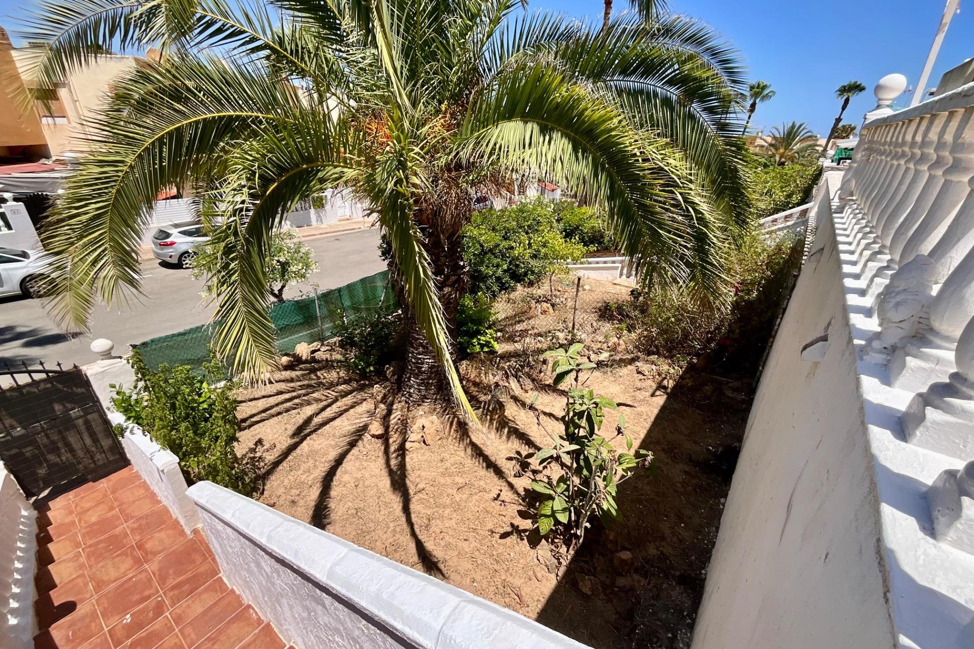Használt Ingatlanok - Bungaló -
Torrevieja - Torreblanca
