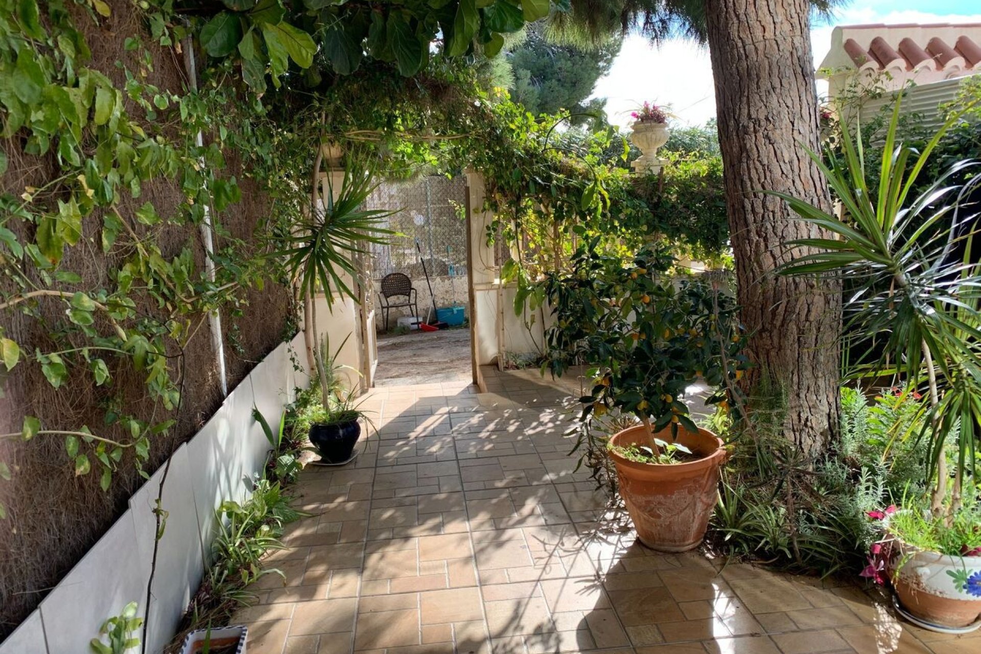 Használt Ingatlanok - Kétszintes lakás -
La Zenia - Costa Blanca