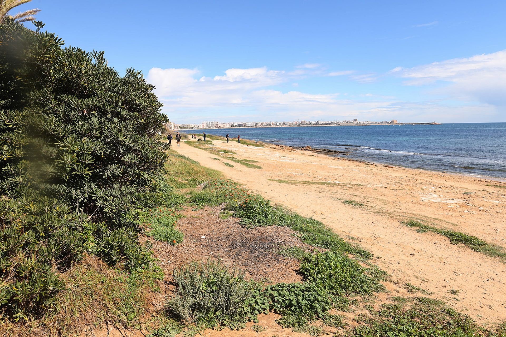 Használt Ingatlanok - Kétszintes lakás -
Torrevieja - Costa Blanca