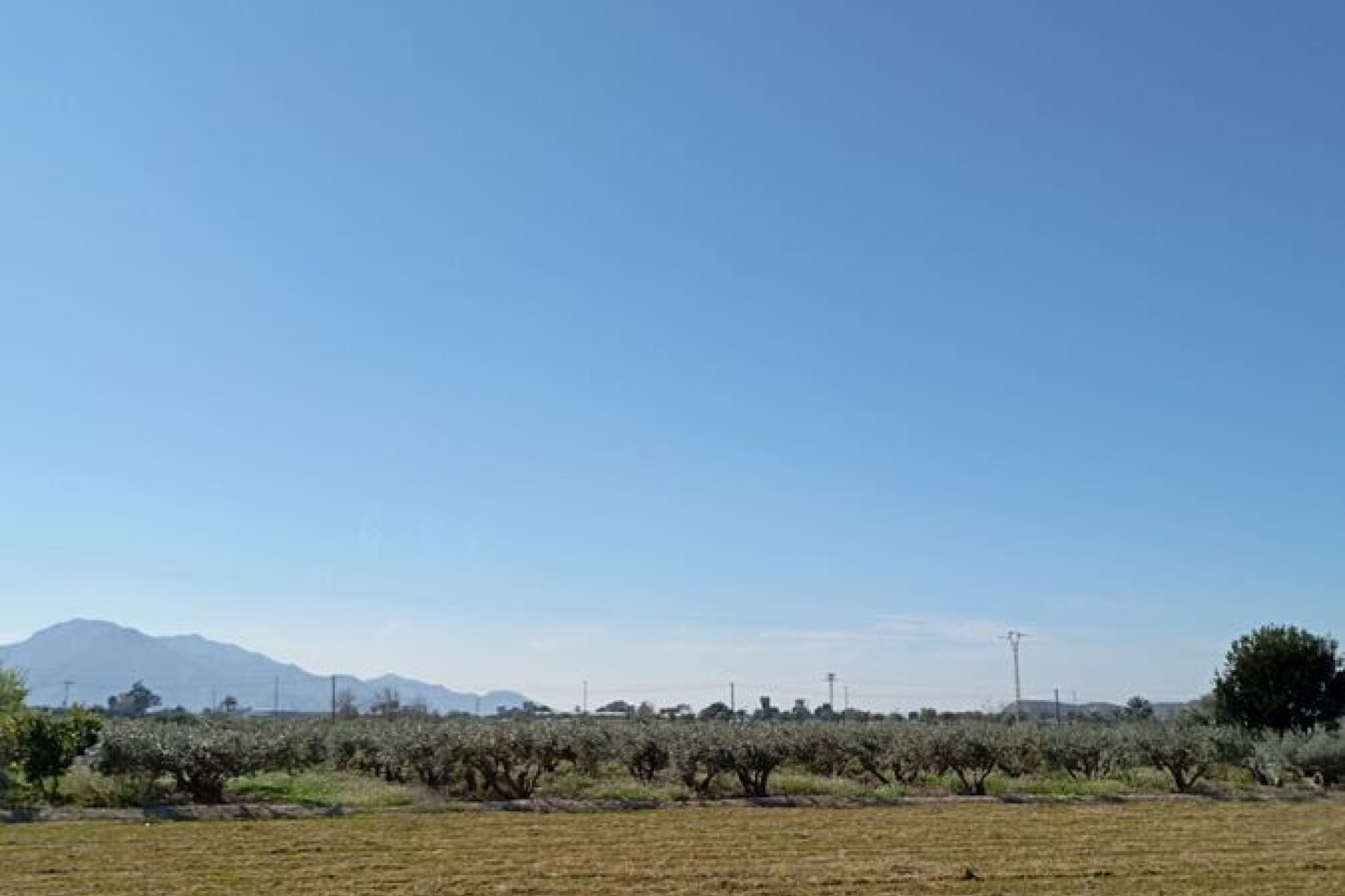 Használt Ingatlanok - Sorház -
Catral - Costa Blanca