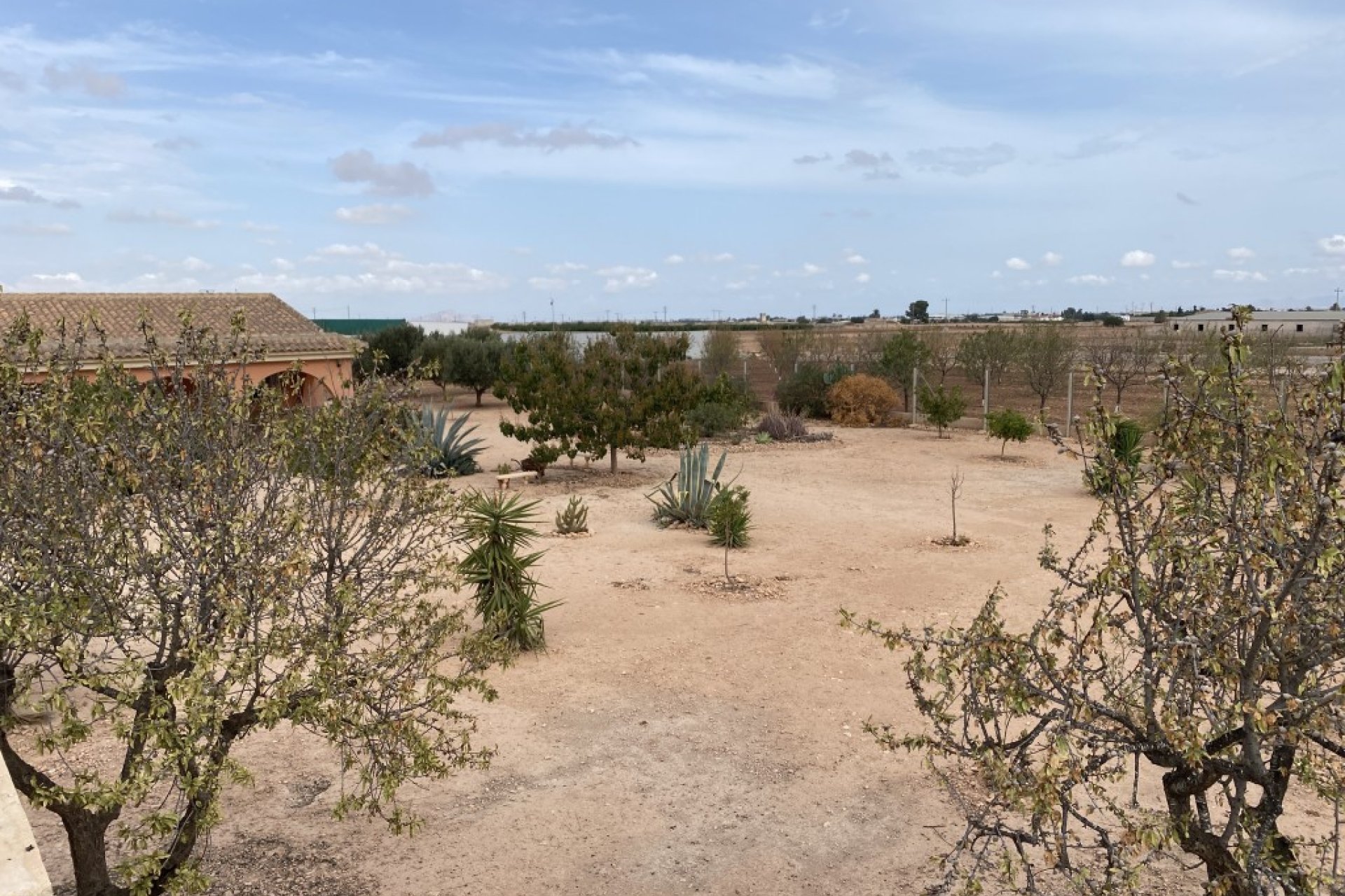 Használt Ingatlanok - Sorház -
Fuente Álamo - Inland