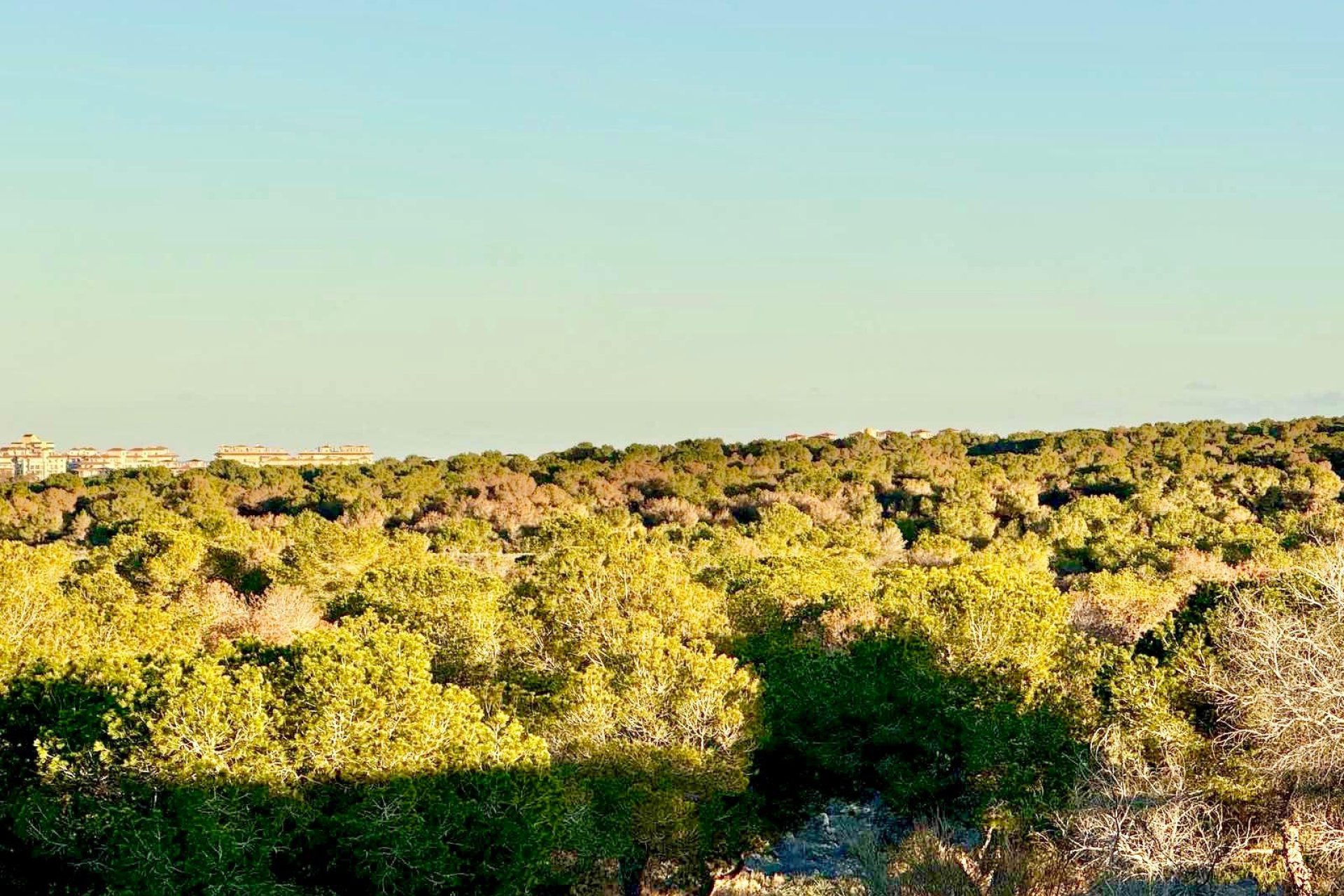 Használt Ingatlanok - Sorház -
Torrevieja - Costa Blanca