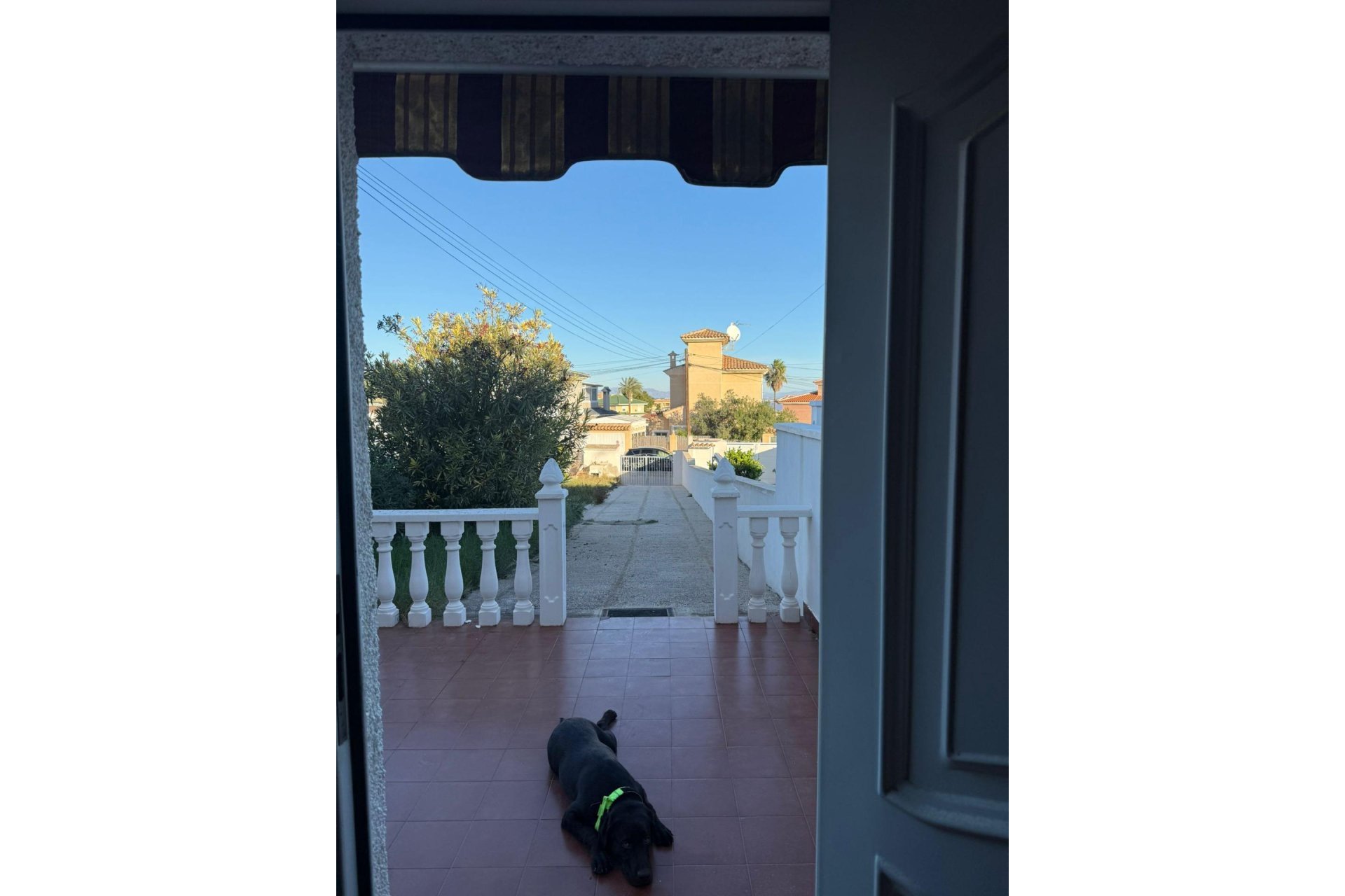 Használt Ingatlanok - Sorház -
Torrevieja - Los Altos