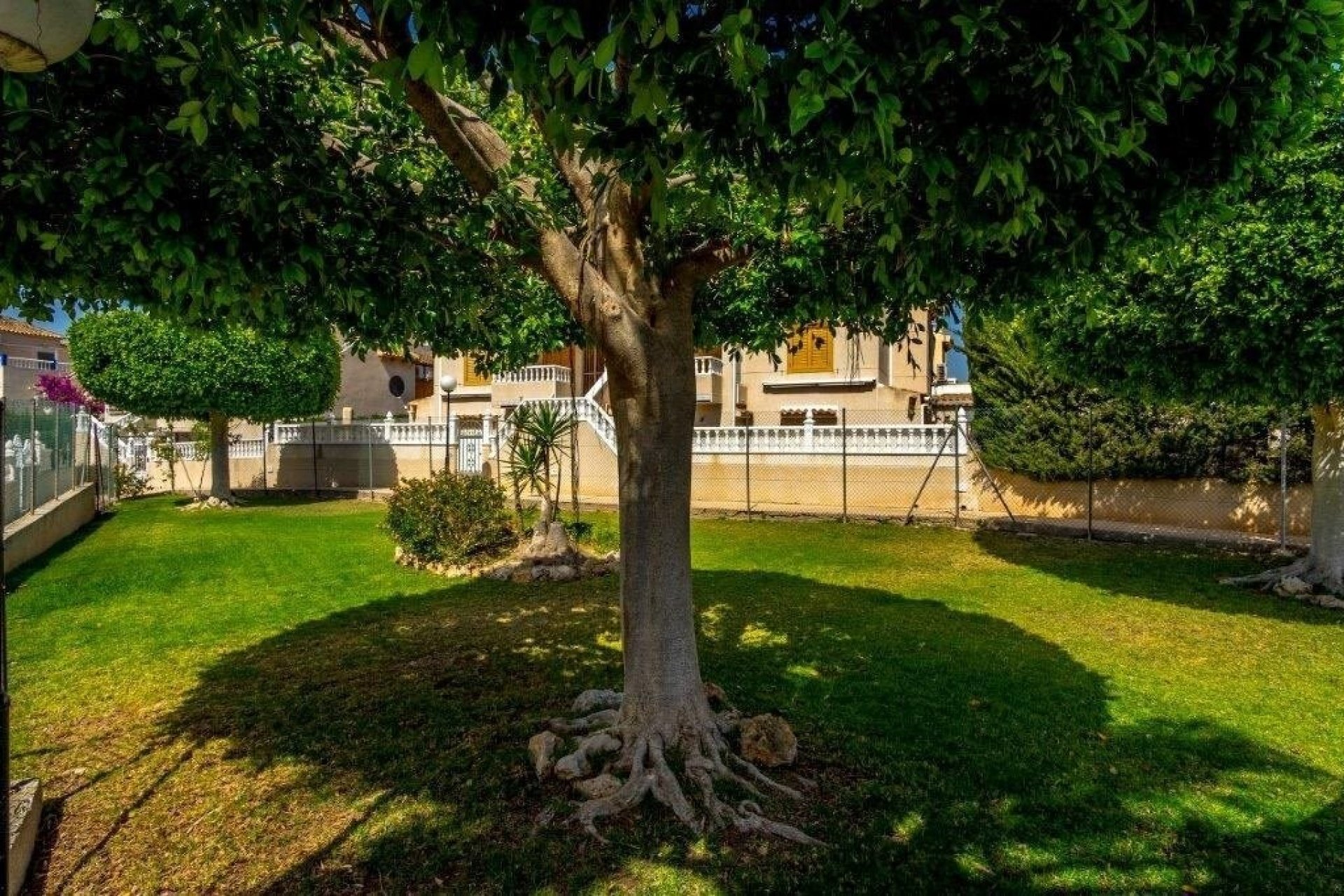 Használt Ingatlanok - Sorház -
Torrevieja - Los Altos