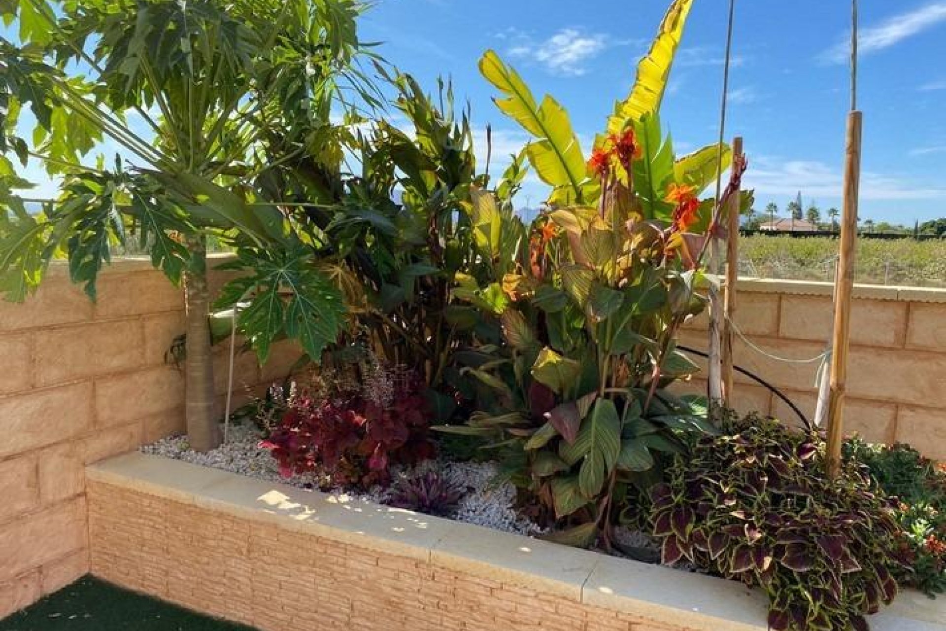 Használt Ingatlanok - Villa -
Albatera - Campo De Albatera