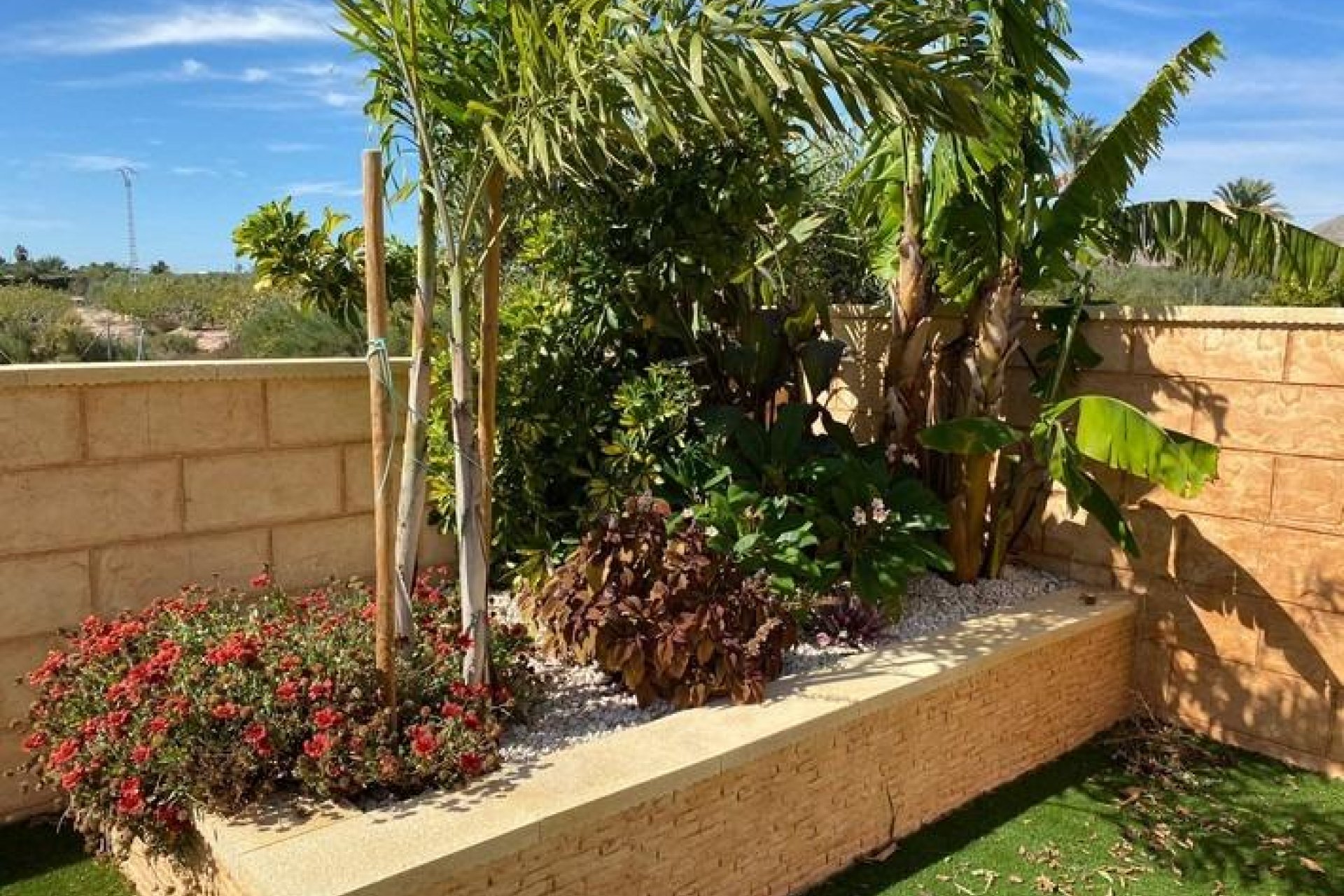 Használt Ingatlanok - Villa -
Albatera - Campo De Albatera