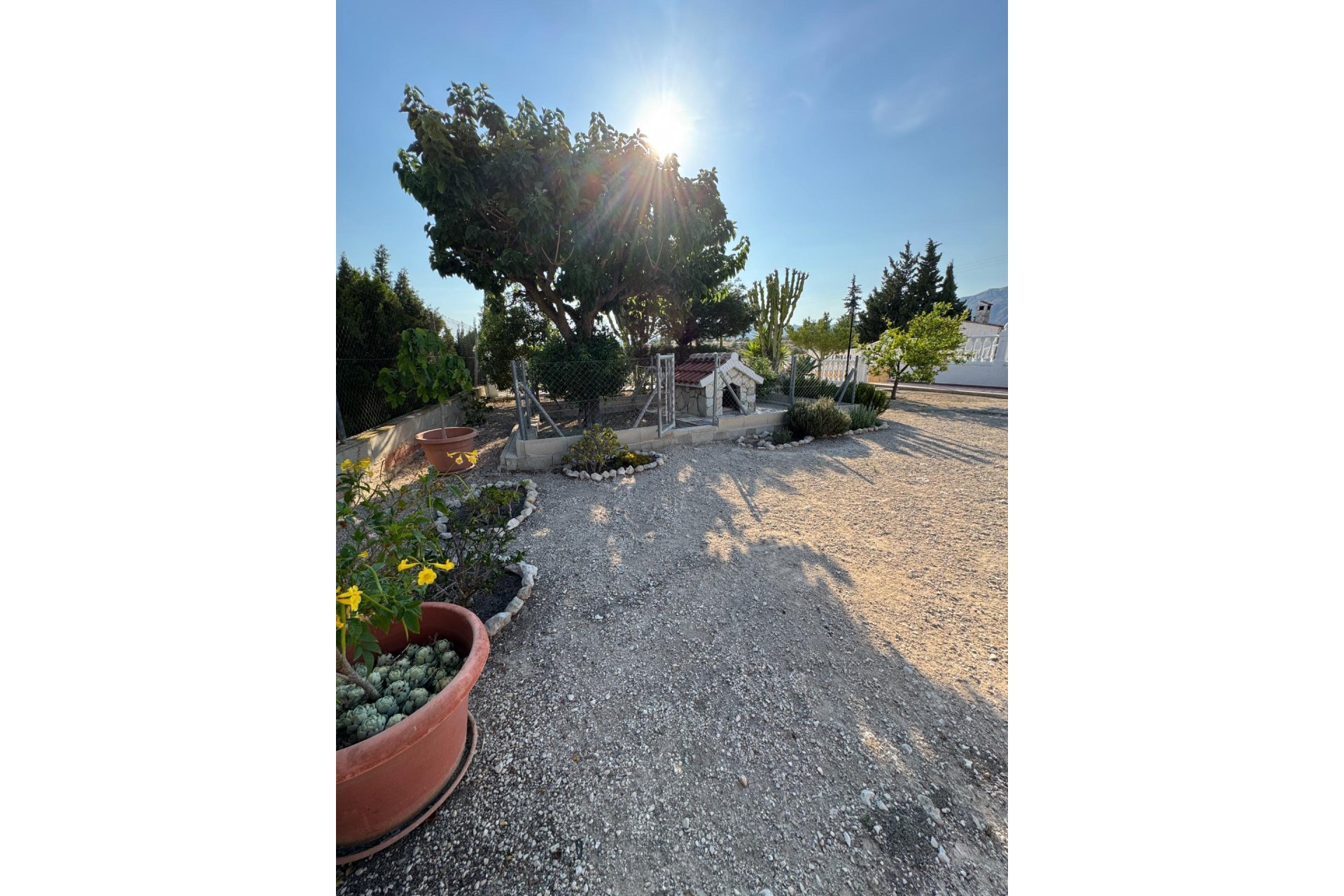 Használt Ingatlanok - Villa -
Albatera - Partida Lomas