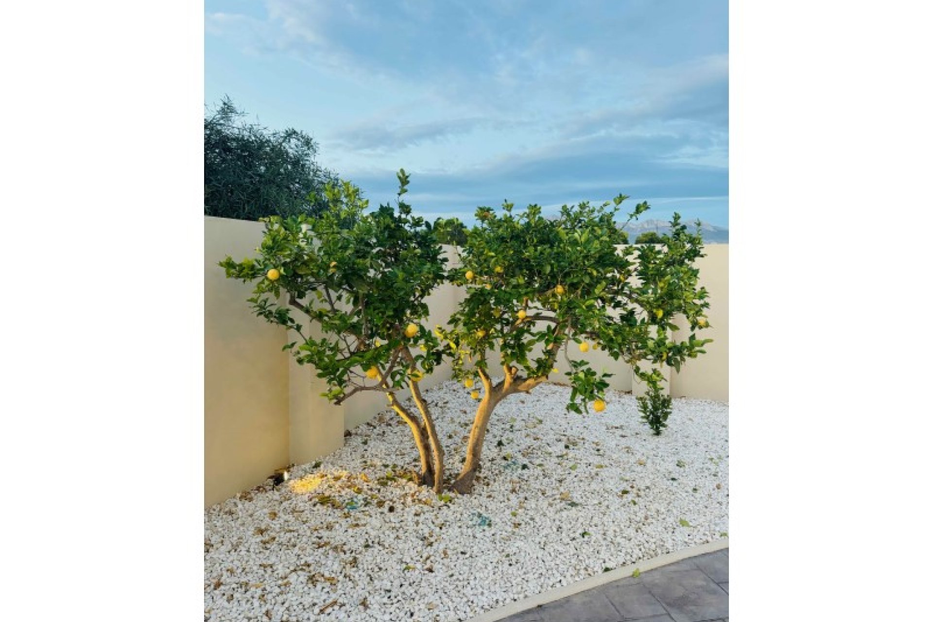 Használt Ingatlanok - Villa -
Alfas del Pí - Costa Blanca