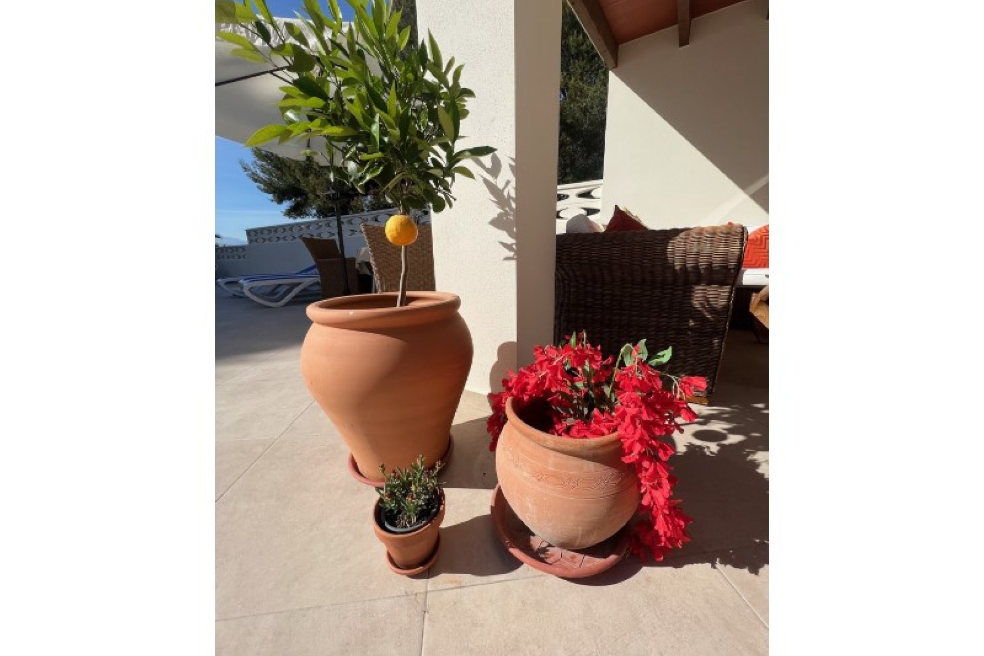 Használt Ingatlanok - Villa -
Alfas del Pí - Costa Blanca