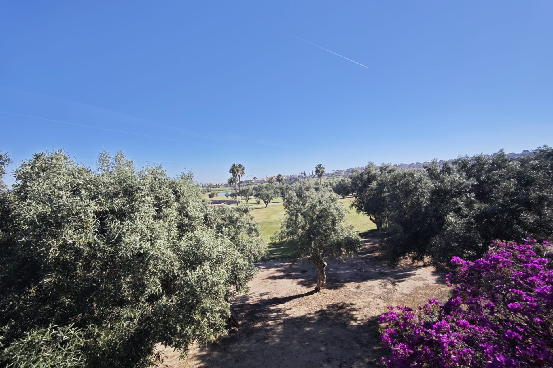 Használt Ingatlanok - Villa -
Algorfa - Inland