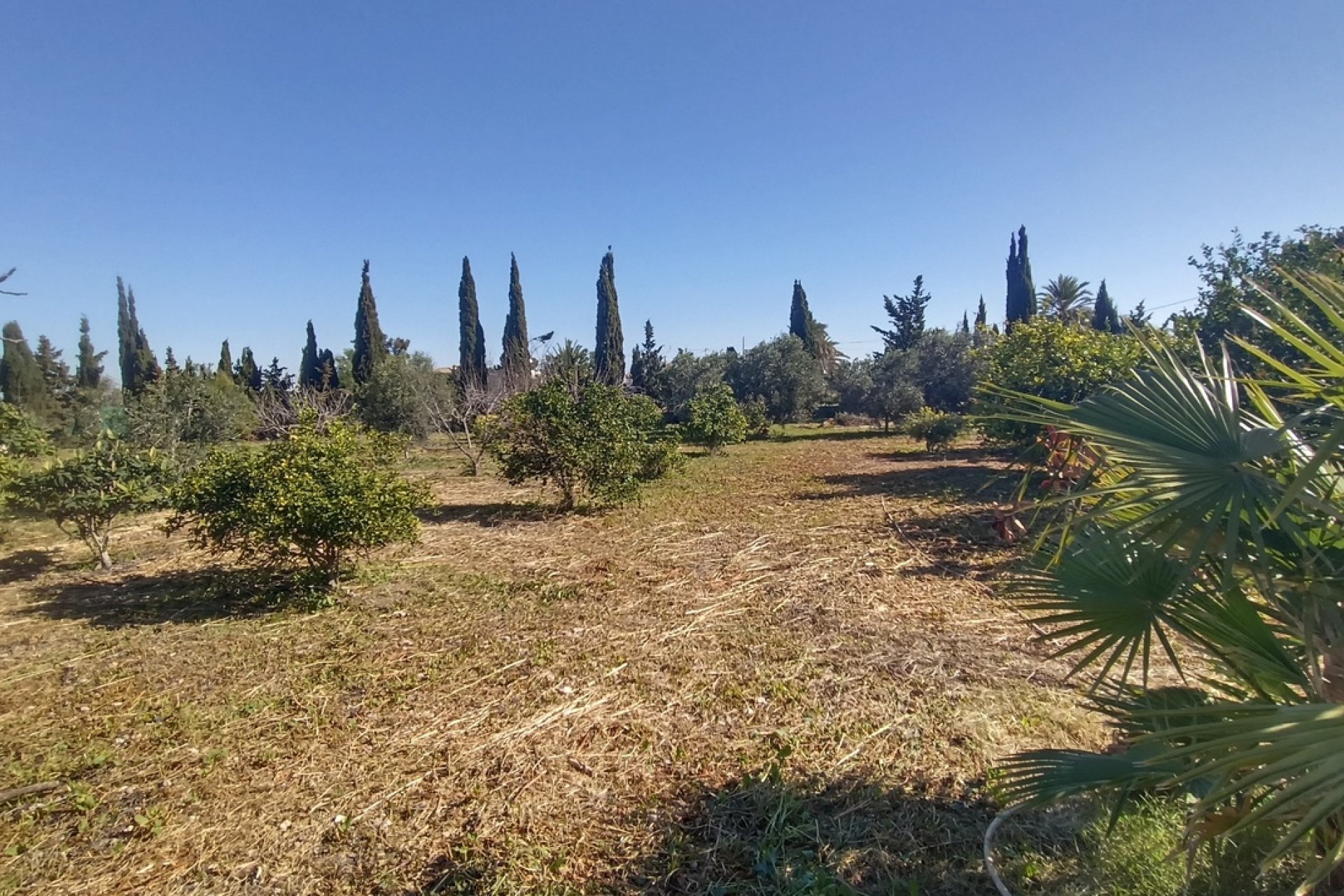 Használt Ingatlanok - Villa -
Avileses - Inland