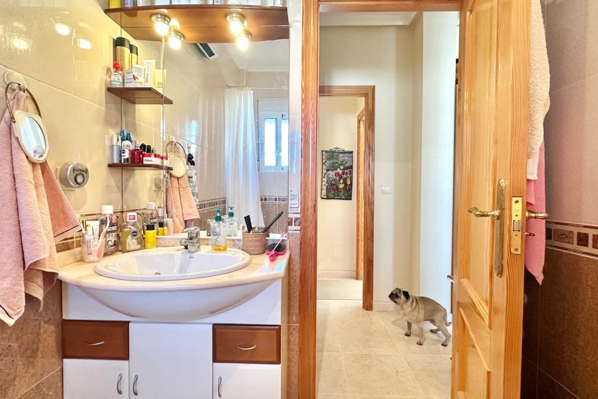 Használt Ingatlanok - Villa -
Bigastro - Comunidad Valenciana