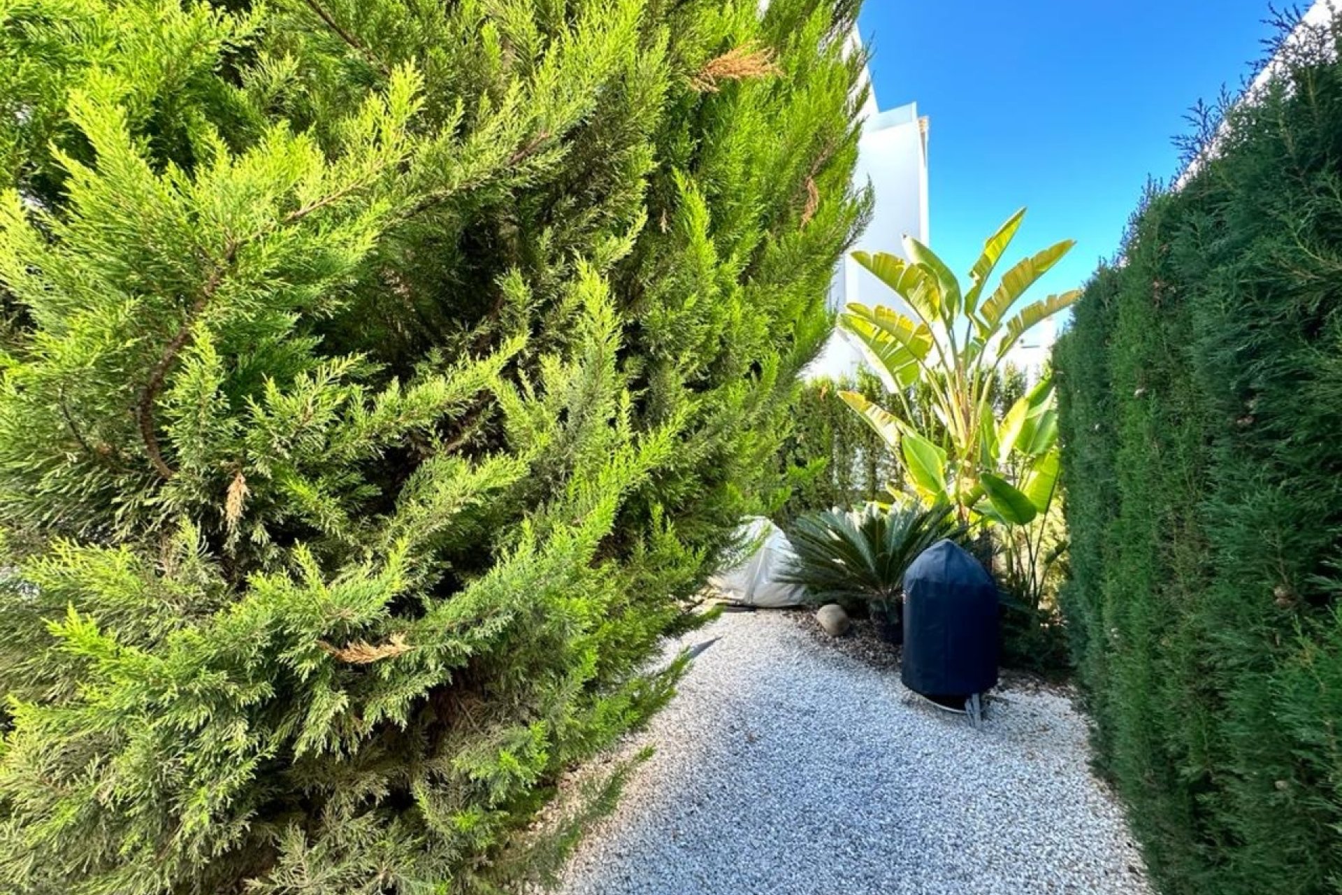 Használt Ingatlanok - Villa -
Ciudad Quesada - Costa Blanca