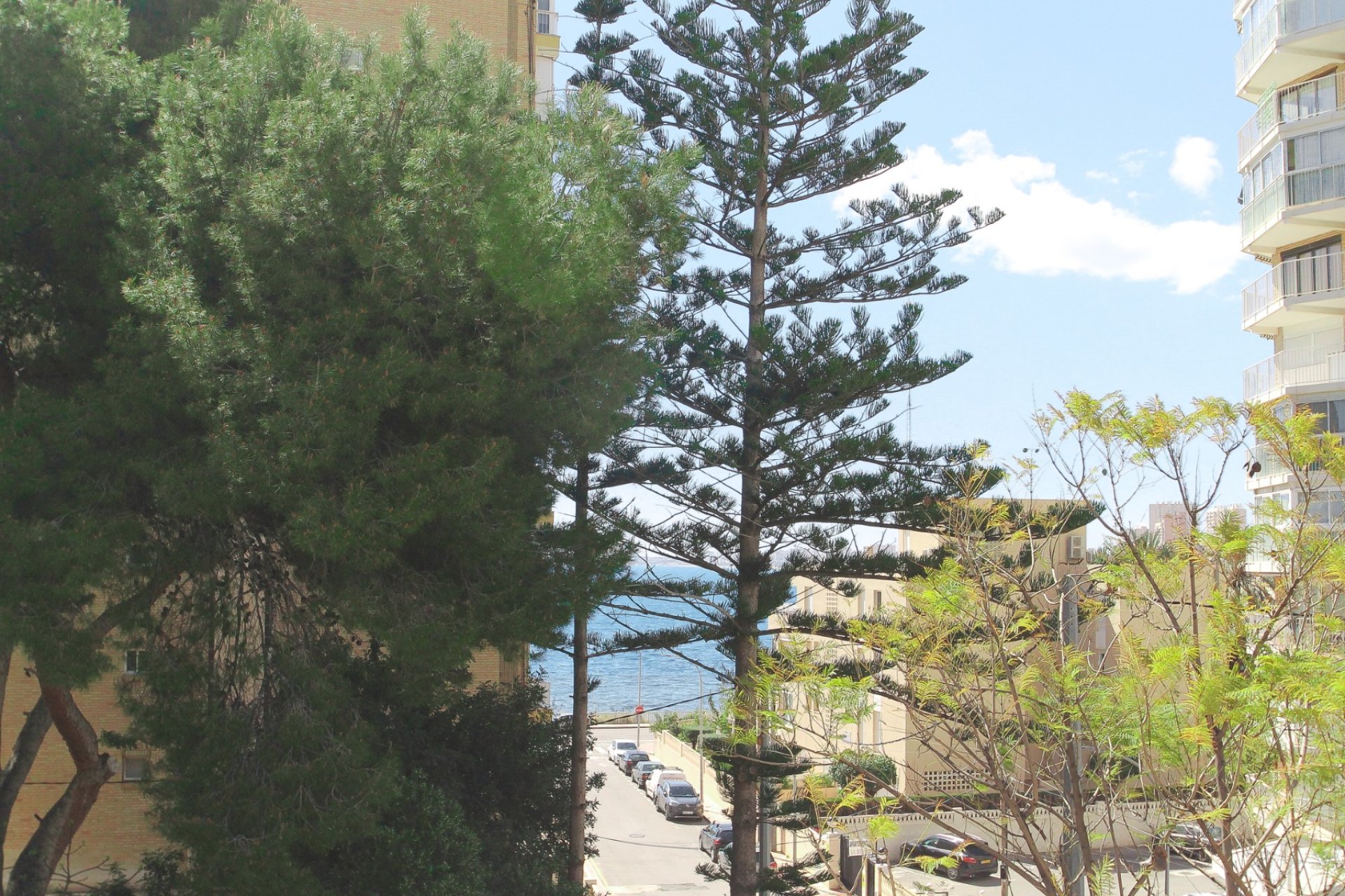 Használt Ingatlanok - Villa -
El Campello - Costa Blanca