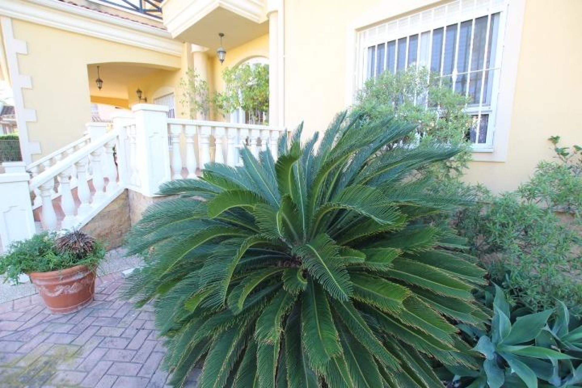 Használt Ingatlanok - Villa -
Elche - Altabix