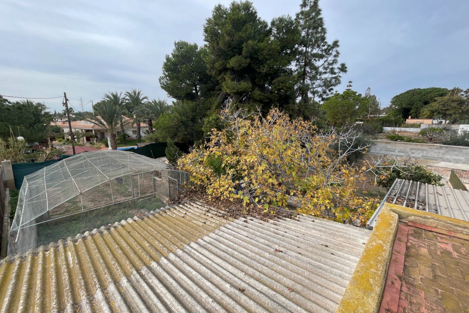 Használt Ingatlanok - Villa -
Elche - Costa Blanca