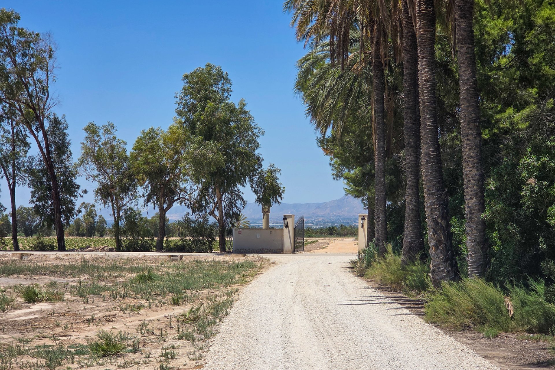 Használt Ingatlanok - Villa -
Elche - Costa Blanca