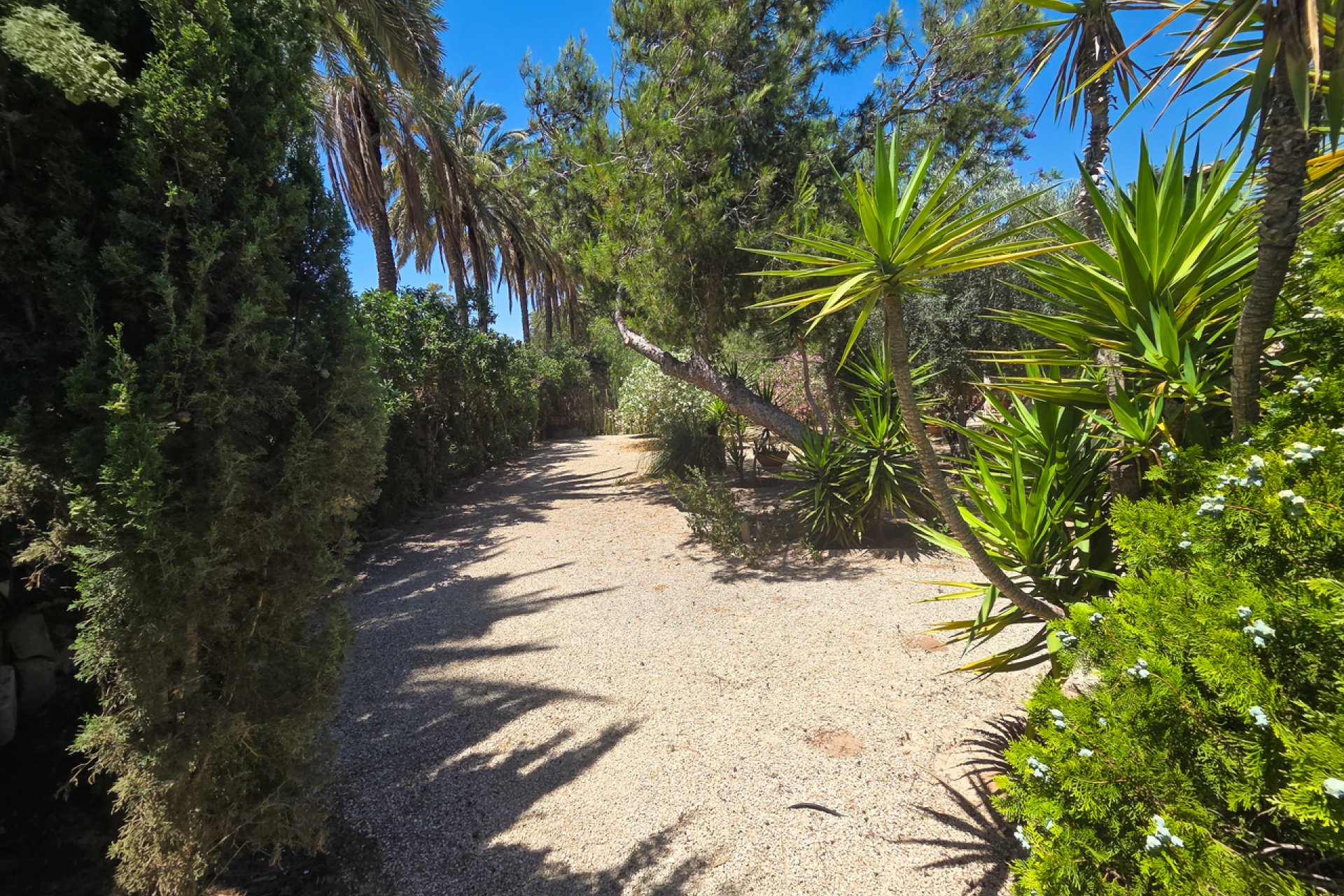 Használt Ingatlanok - Villa -
Elche - Costa Blanca