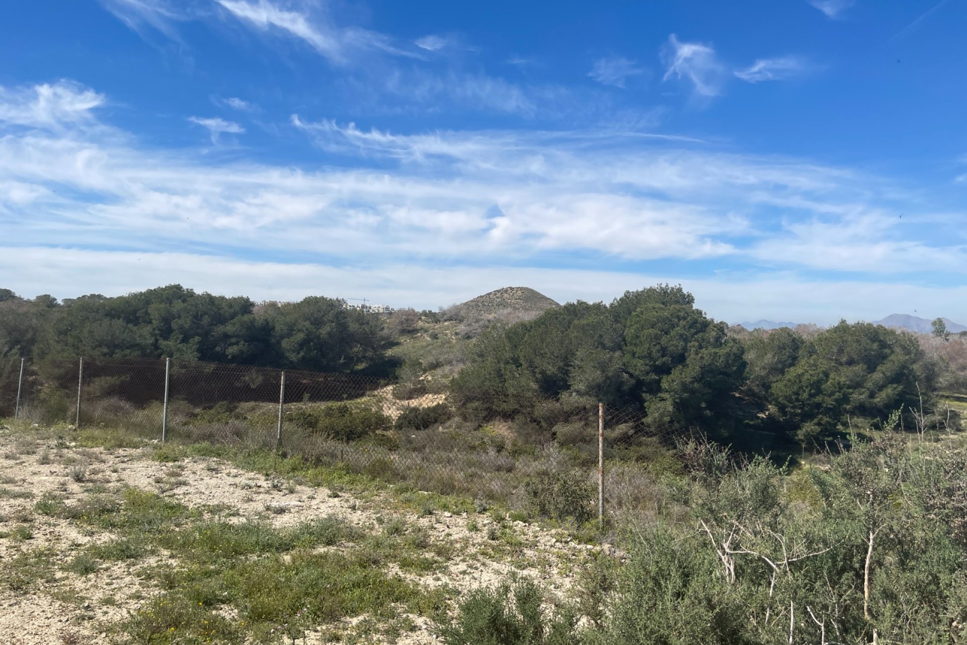 Használt Ingatlanok - Villa -
Guardamar del Segura - Costa Blanca
