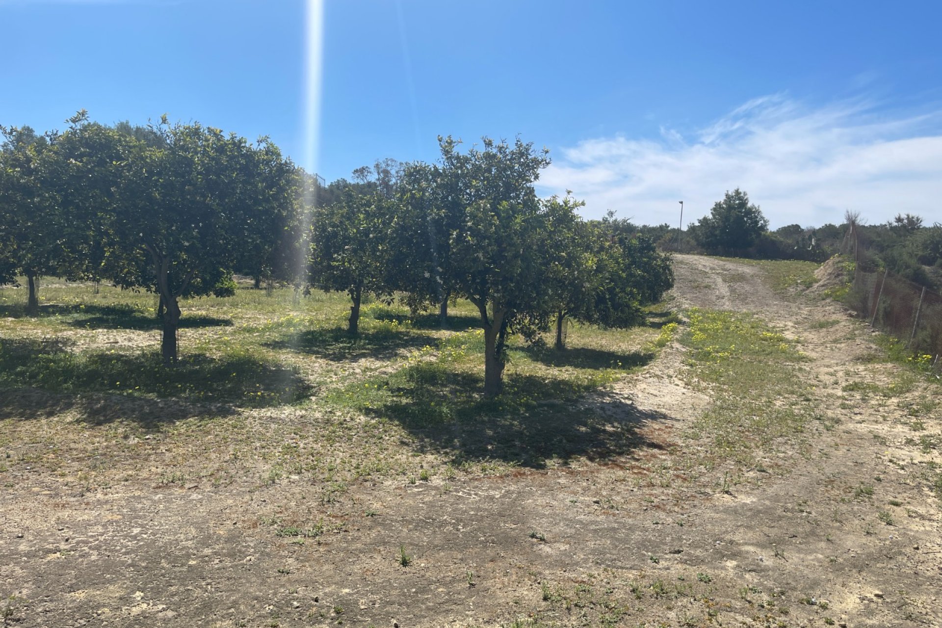 Használt Ingatlanok - Villa -
Guardamar del Segura - Costa Blanca