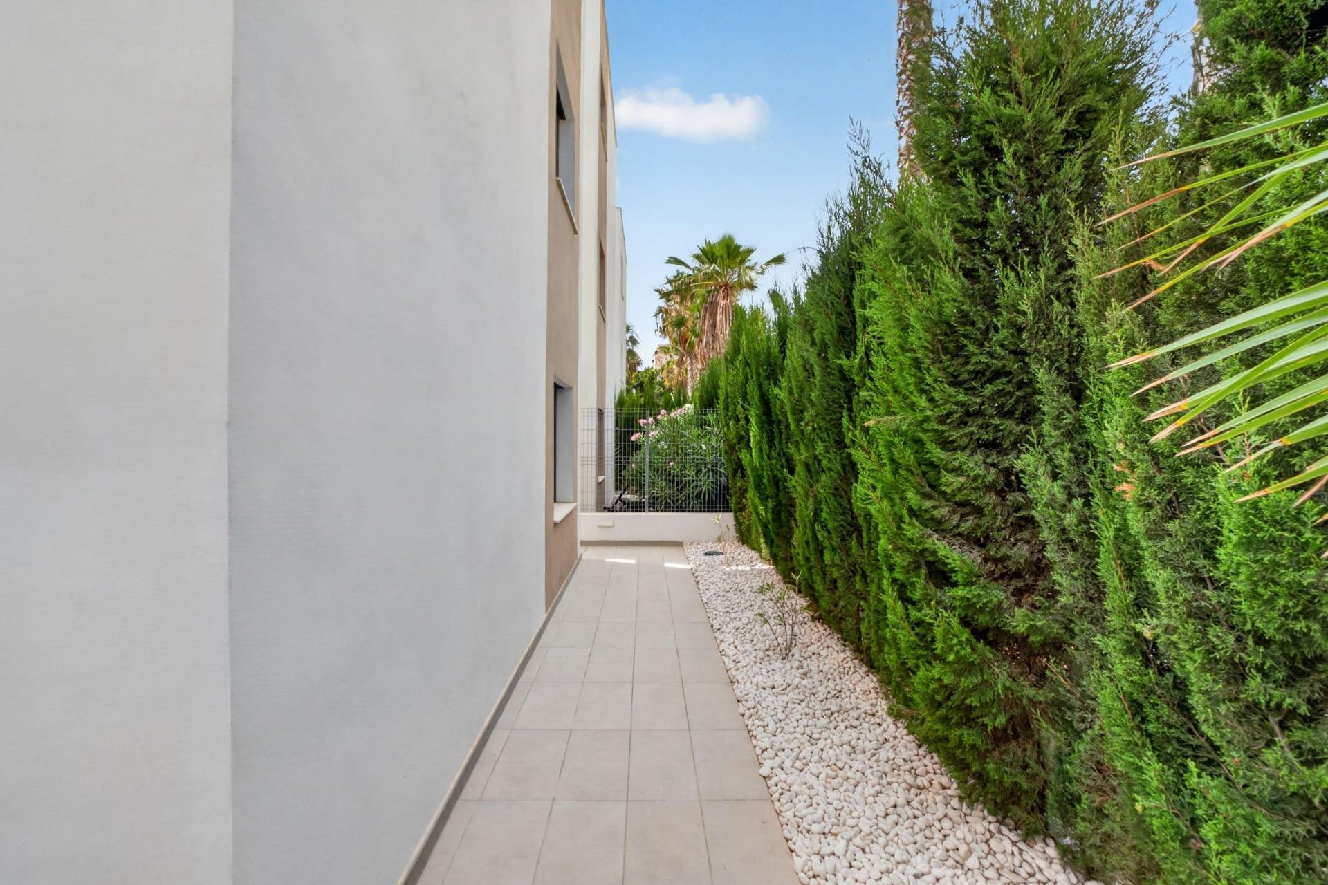 Használt Ingatlanok - Villa -
Guardamar del Segura - El Raso