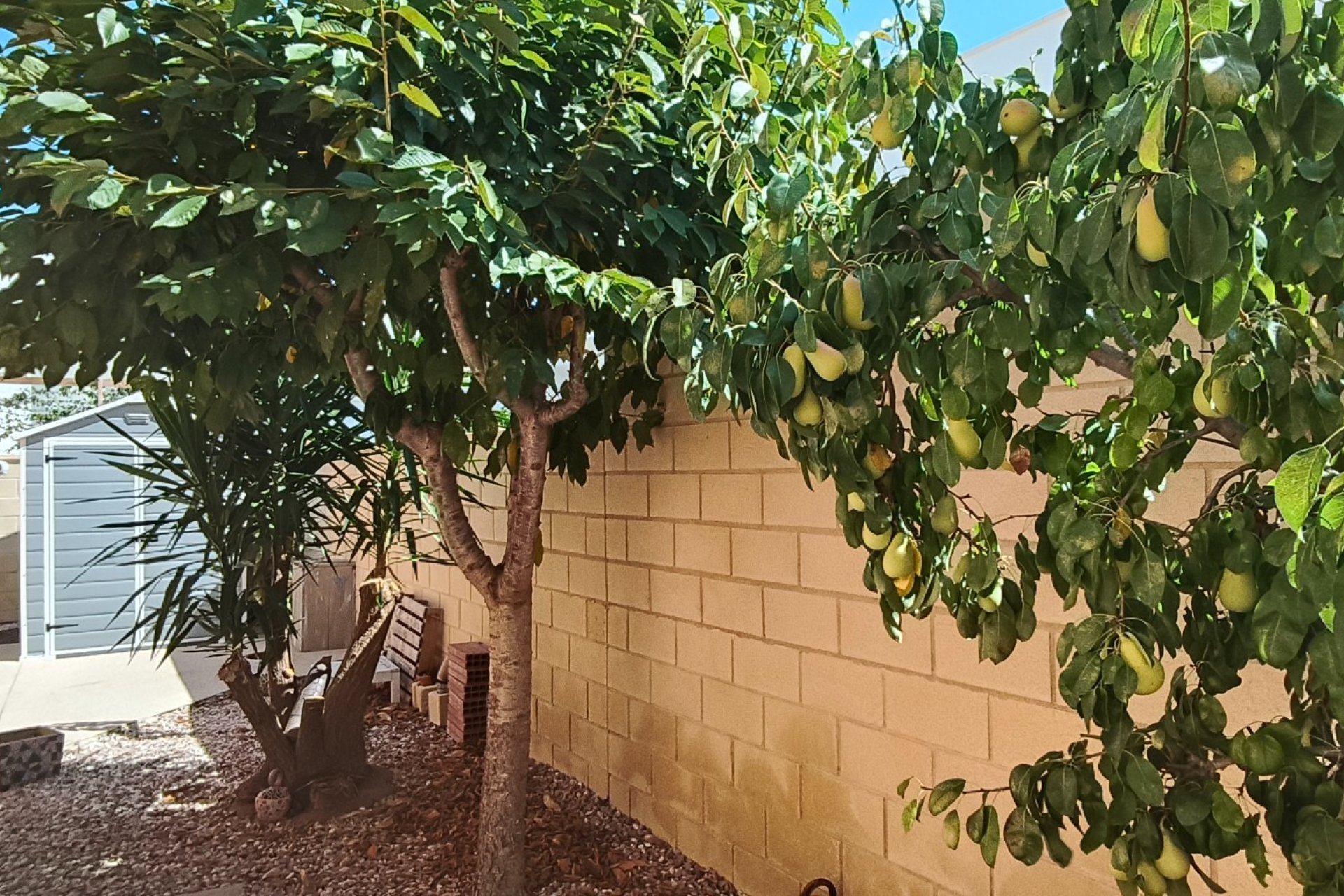 Használt Ingatlanok - Villa -
La Romana - Inland