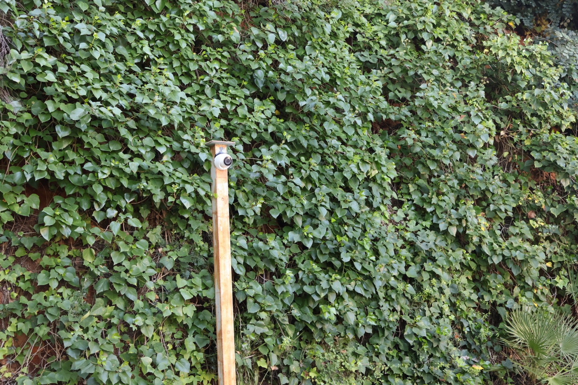 Használt Ingatlanok - Villa -
La Sella Golf - Inland