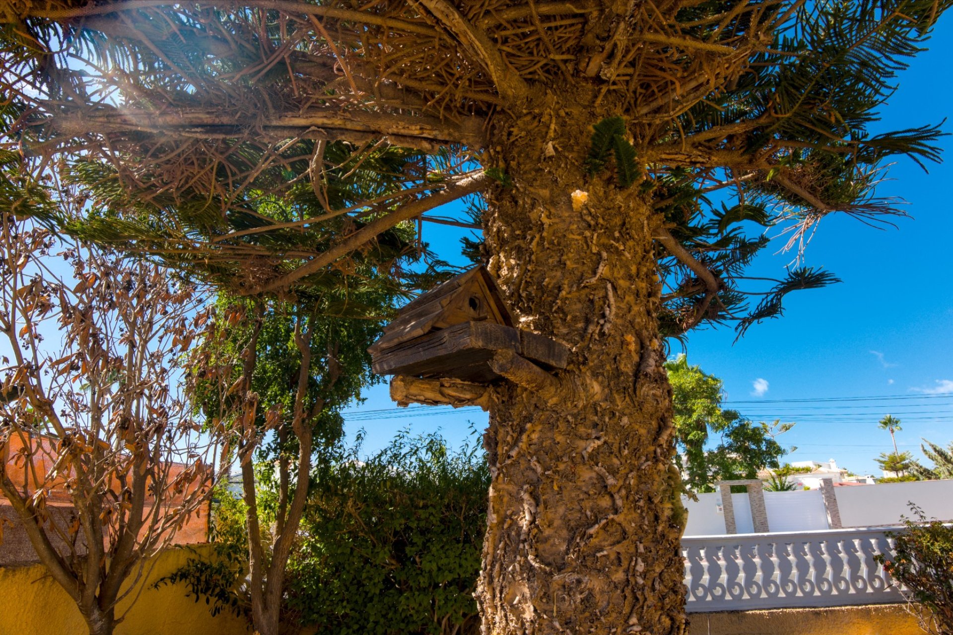 Használt Ingatlanok - Villa -
La Siesta - Costa Blanca