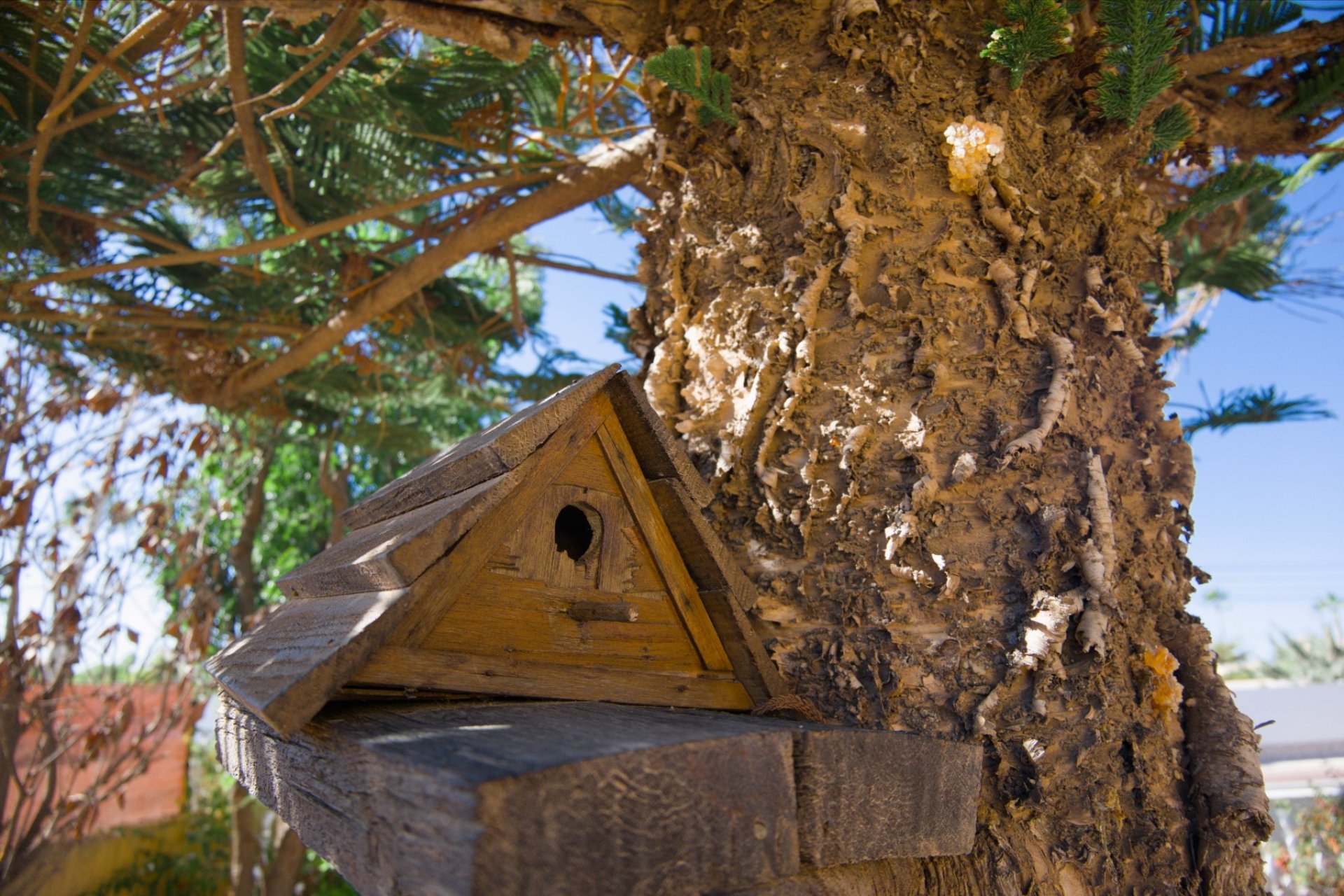 Használt Ingatlanok - Villa -
La Siesta - Costa Blanca