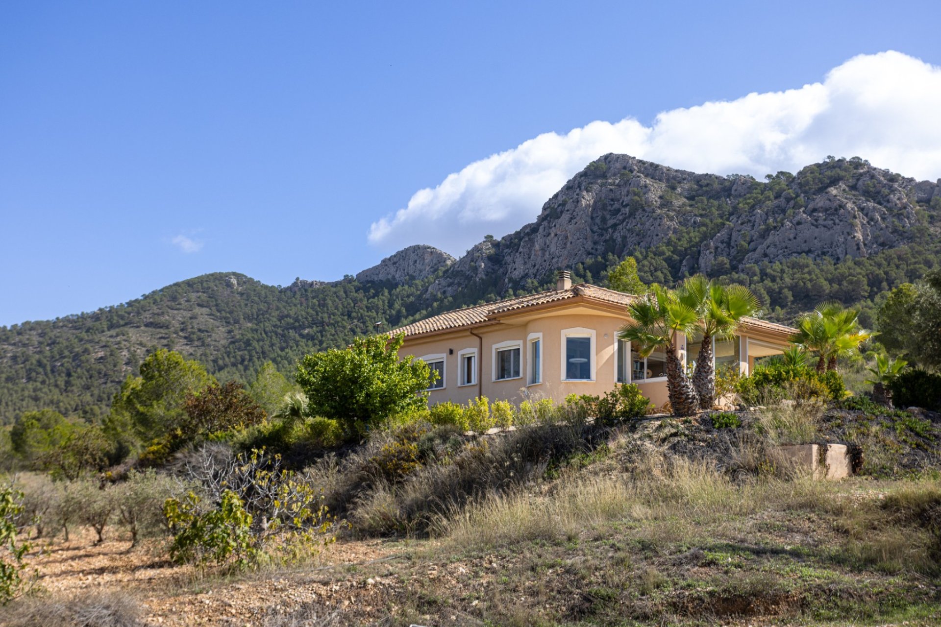 Használt Ingatlanok - Villa -
La Zarza - Inland