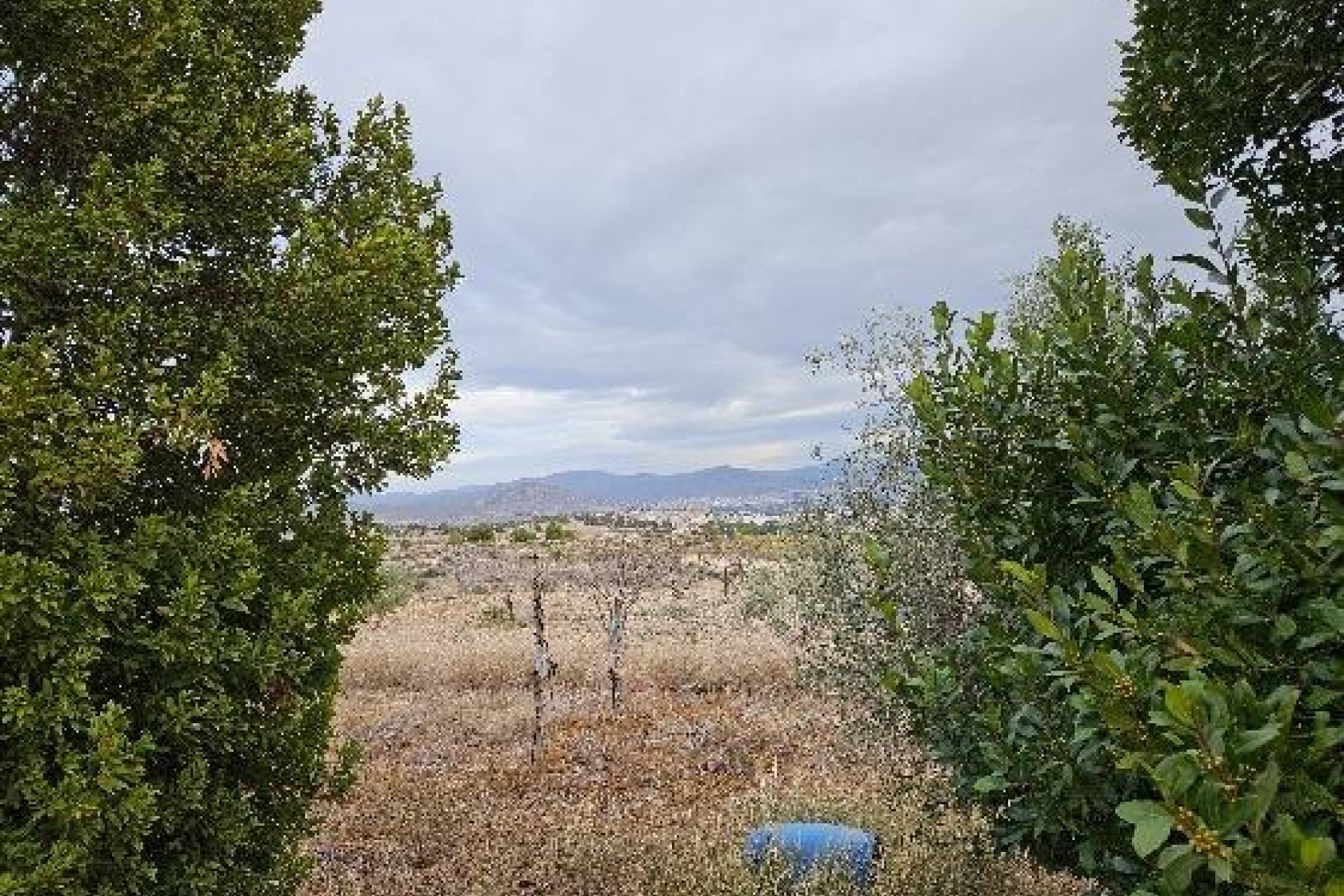 Használt Ingatlanok - Villa -
Monóvar/Monóver - 03640