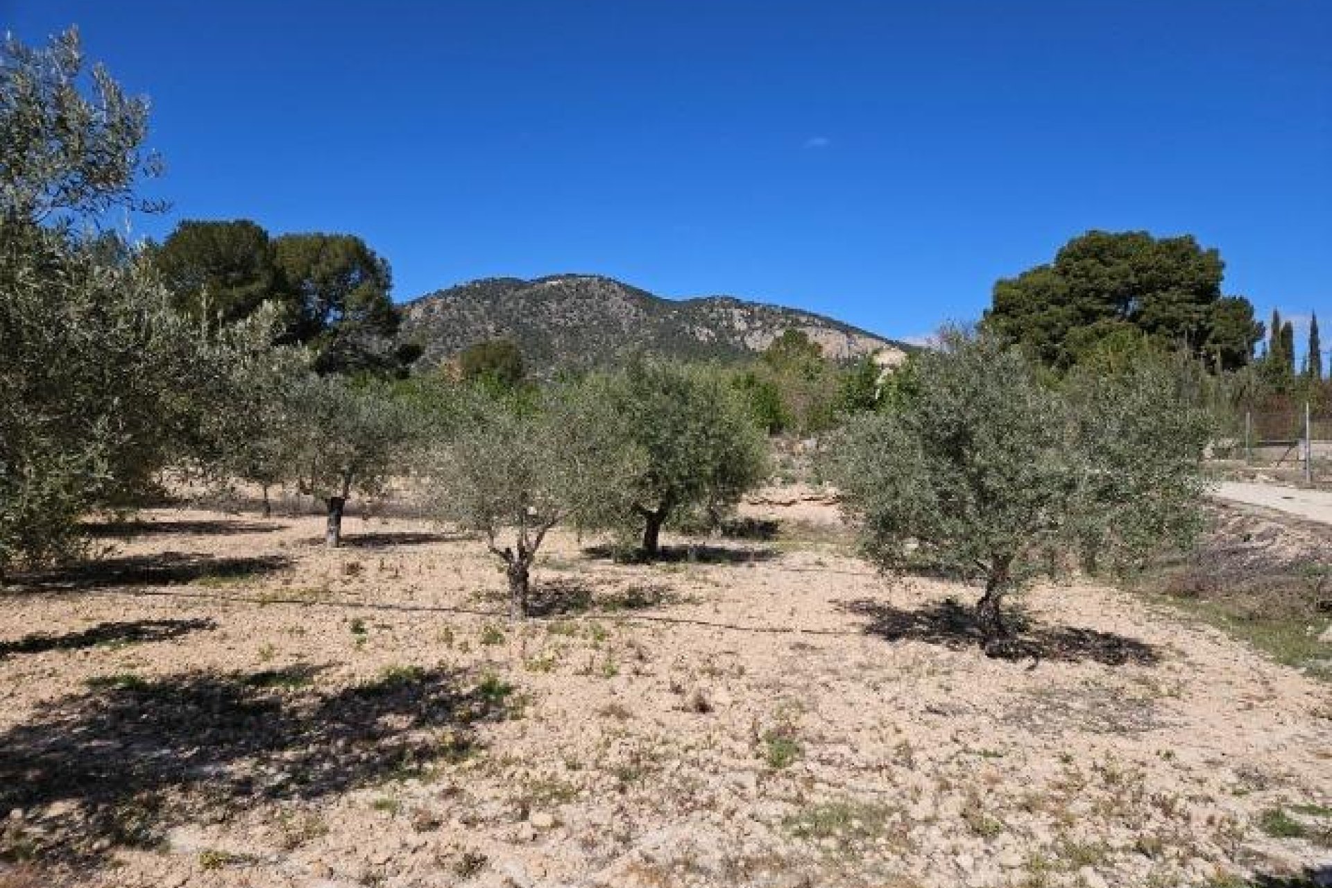 Használt Ingatlanok - Villa -
Monóvar/Monóver - Comunidad Valenciana