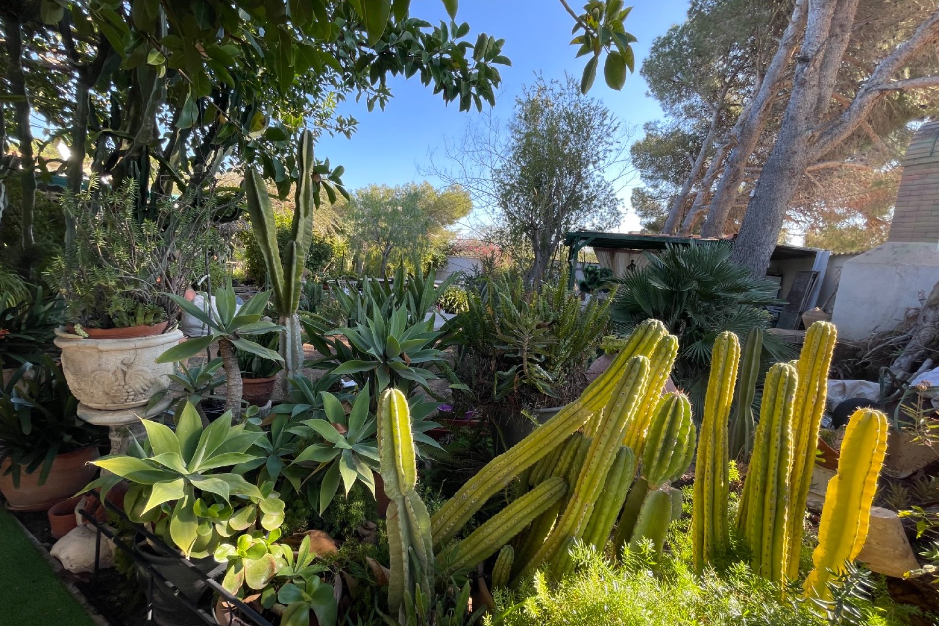 Használt Ingatlanok - Villa -
Orihuela Costa - Costa Blanca