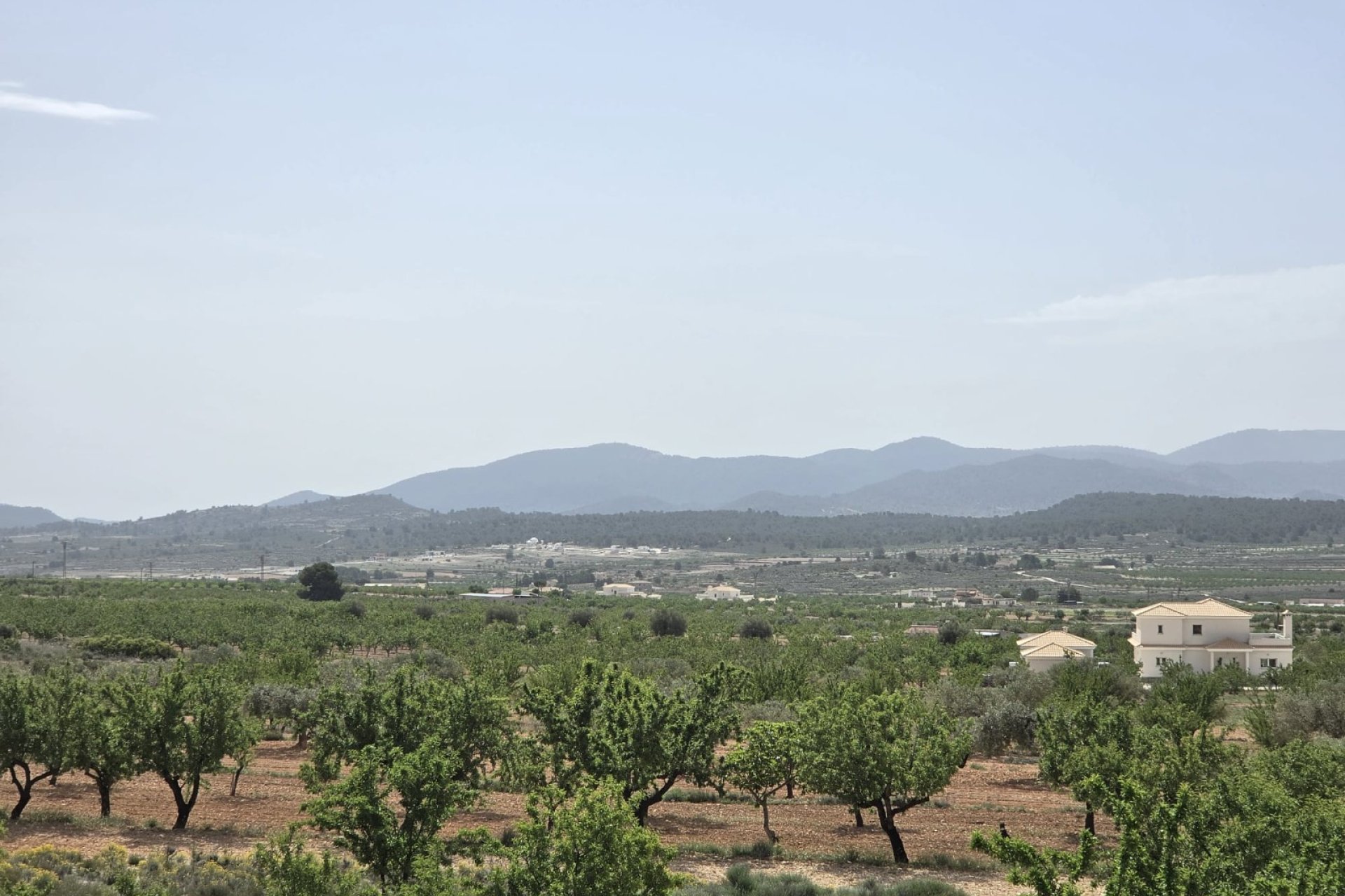Használt Ingatlanok - Villa -
Pinoso - Inland