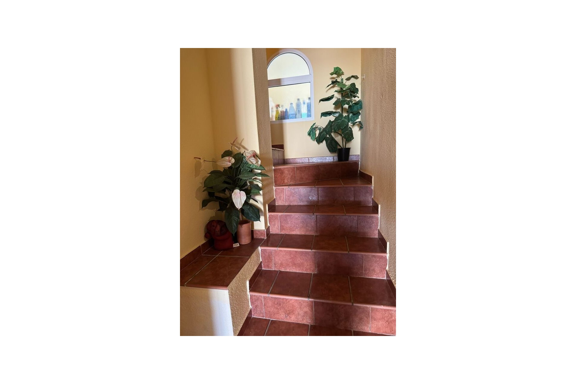 Használt Ingatlanok - Villa -
Playa Flamenca - Costa Blanca