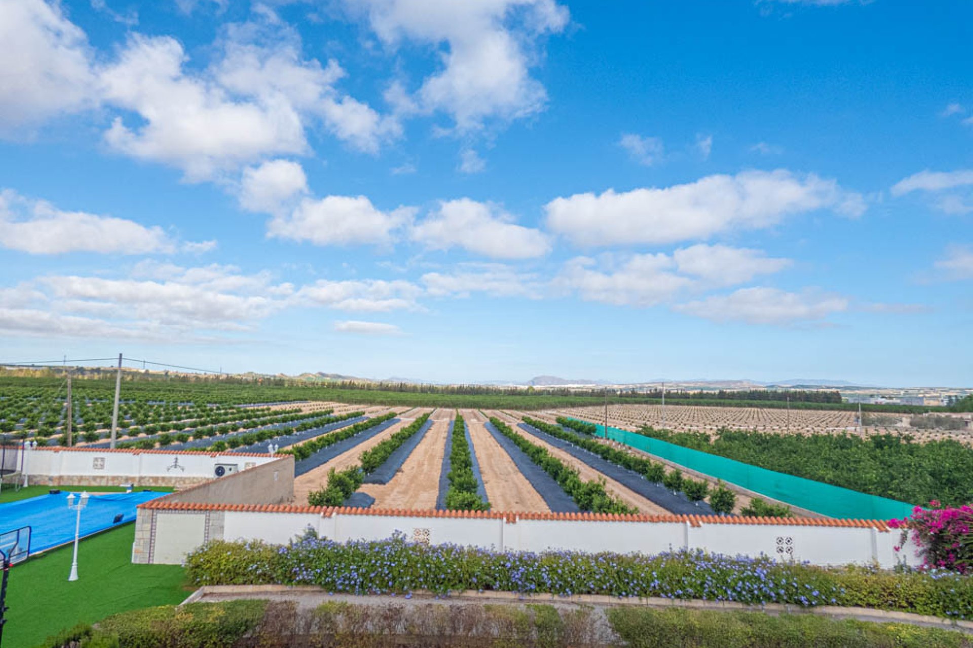 Használt Ingatlanok - Villa -
San Miguel de Salinas - Inland