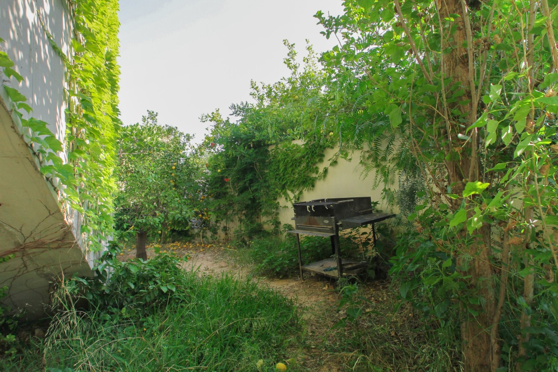 Használt Ingatlanok - Villa -
San Vicente del Raspeig - Inland