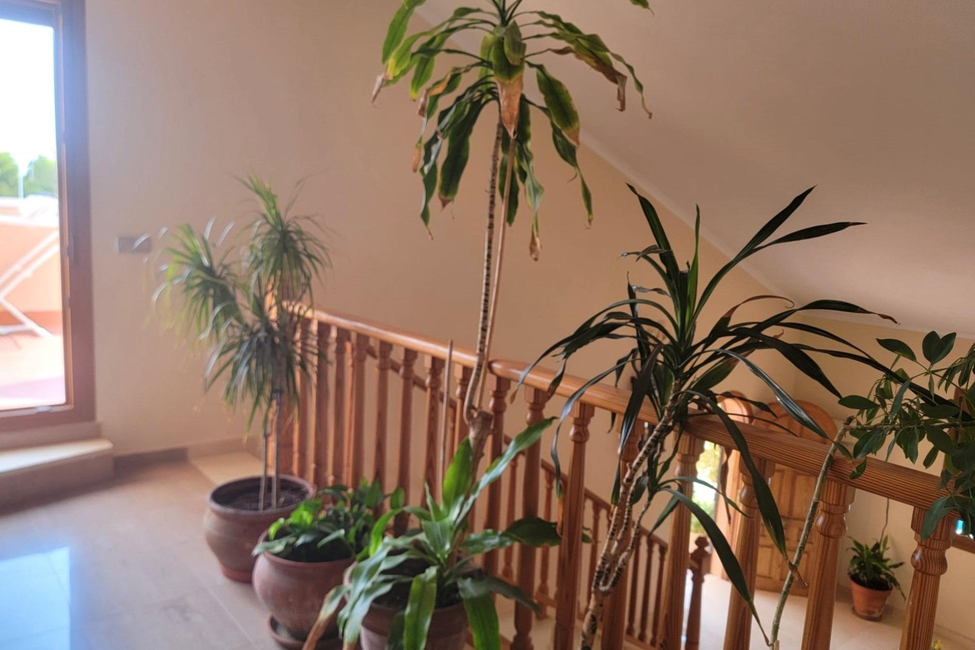 Használt Ingatlanok - Villa -
Torrevieja - Aguas Nuevas