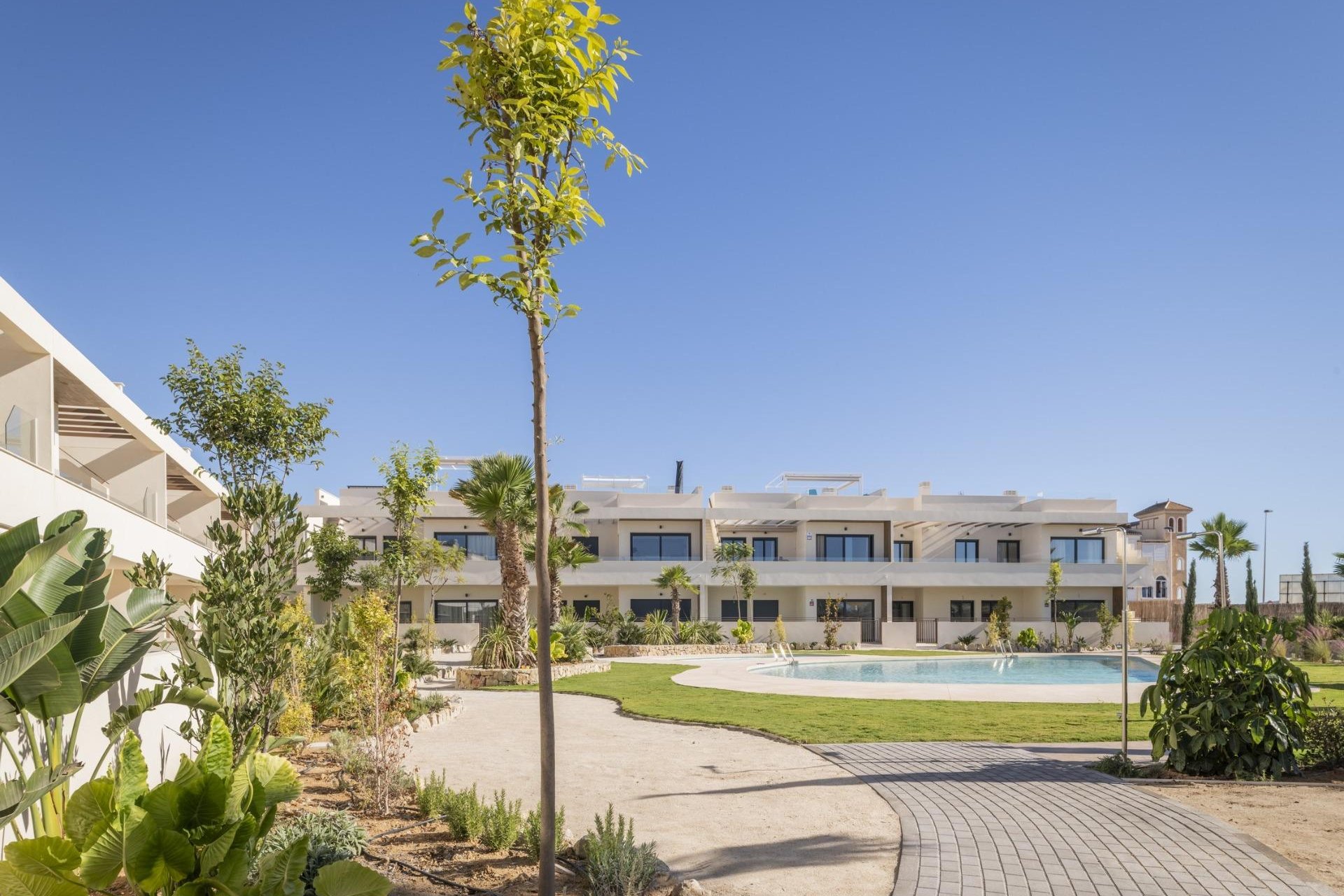 Neue Gebäude - Bungalow -
Torrevieja - Villa Amalia