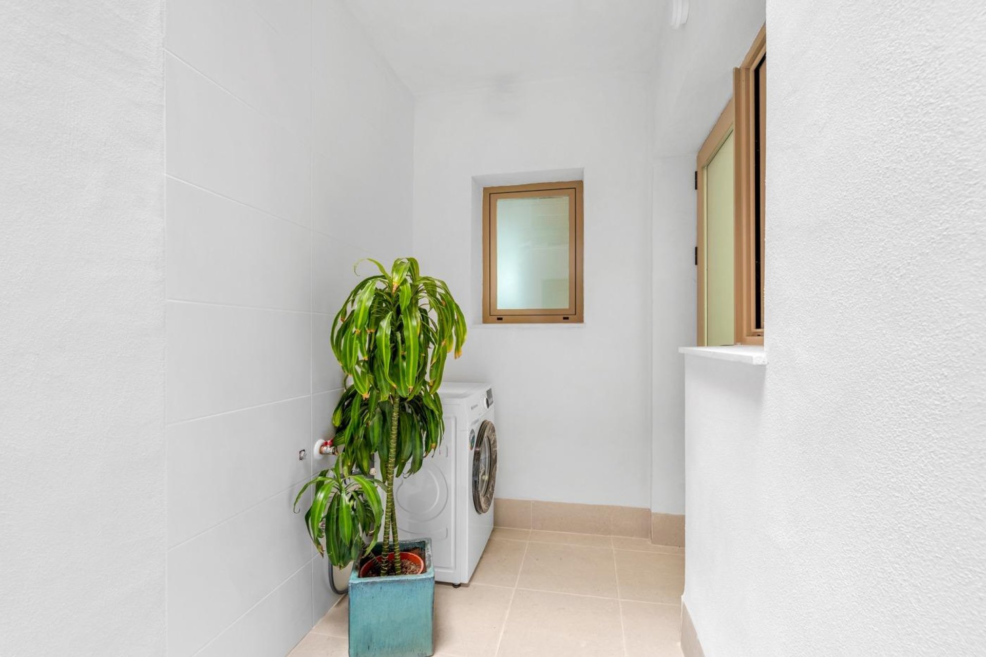 Neue Gebäude - Penthouse -
Jacarilla - pueblo