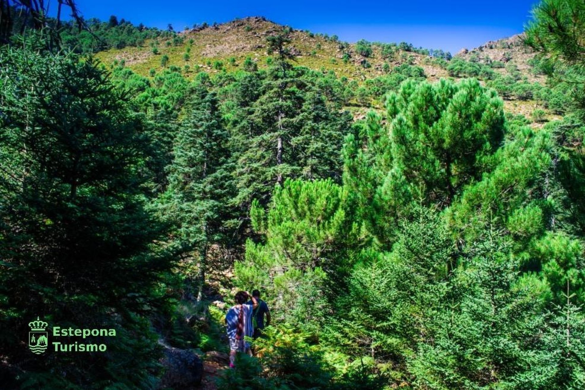Neue Gebäude - Wohnung -
Estepona - Playa de La Rada