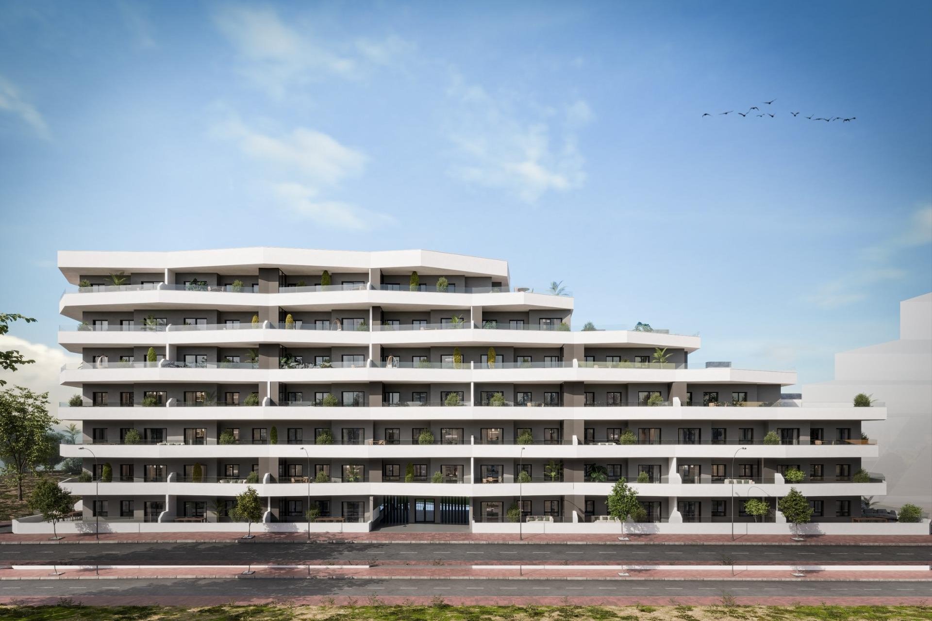 Neue Gebäude - Wohnung -
San Miguel de Salinas - Pueblo