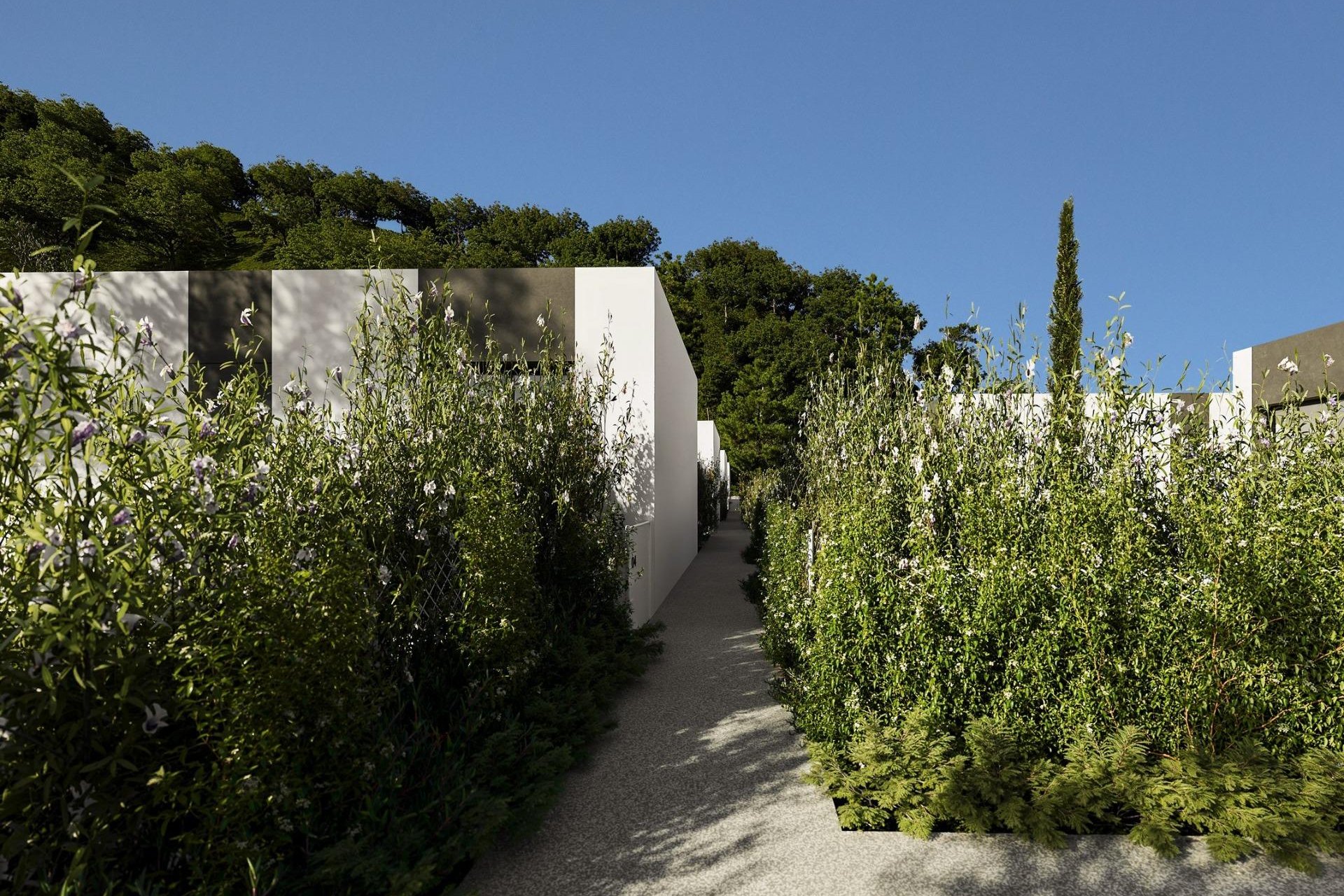 New Build - Villa -
Alfas del Pí - Barranc Fondo