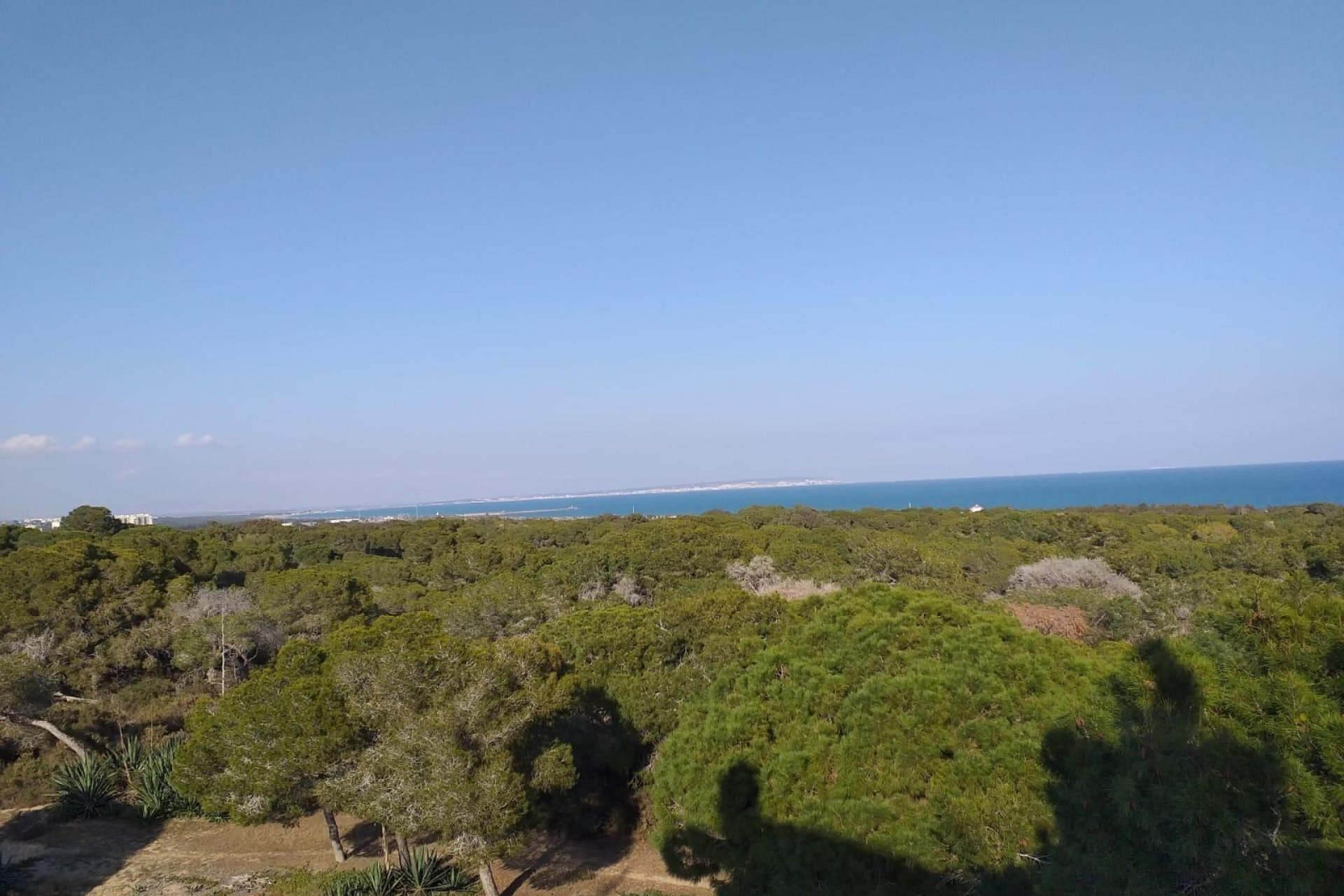 Nouvelle construction - Appartement -
Guardamar del Segura - Pueblo