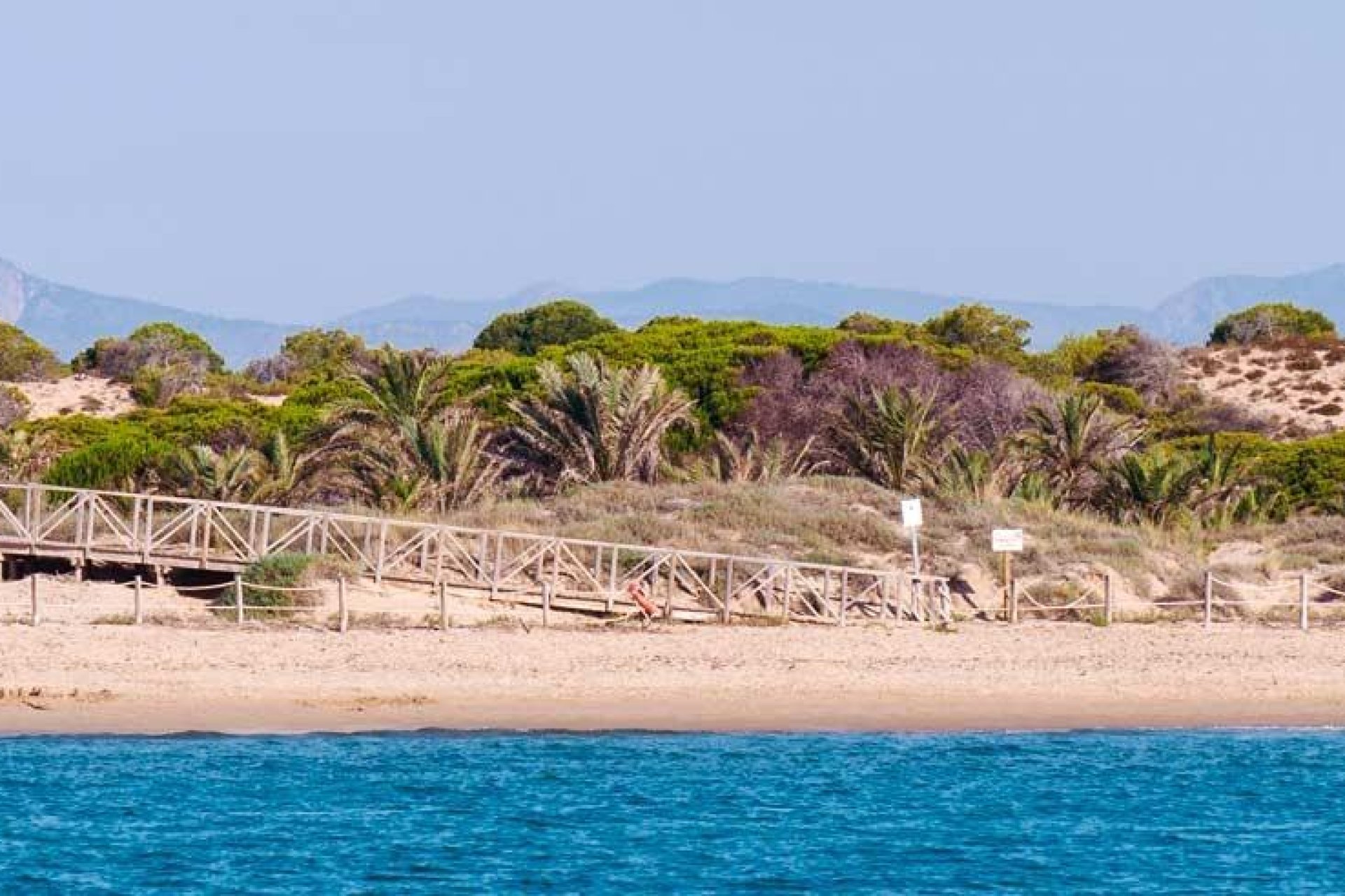 Nouvelle construction - Attique -
Guardamar del Segura - Pueblo