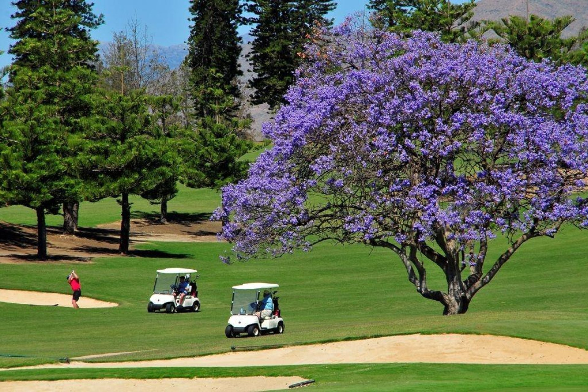 Nouvelle construction - Attique -
Mijas - La Noria Golf