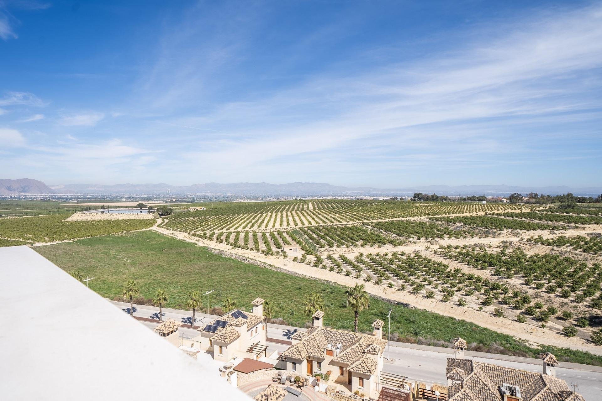 Nouvelle construction - Villa -
Algorfa - La Finca Golf