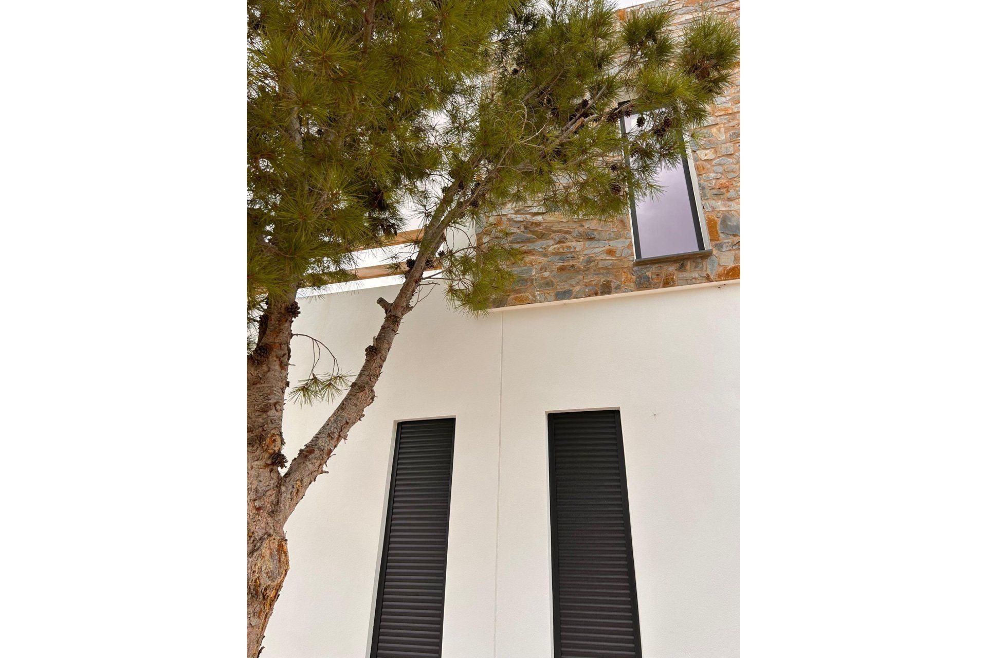 Nouvelle construction - Villa -
Pinoso - Casas Pastor